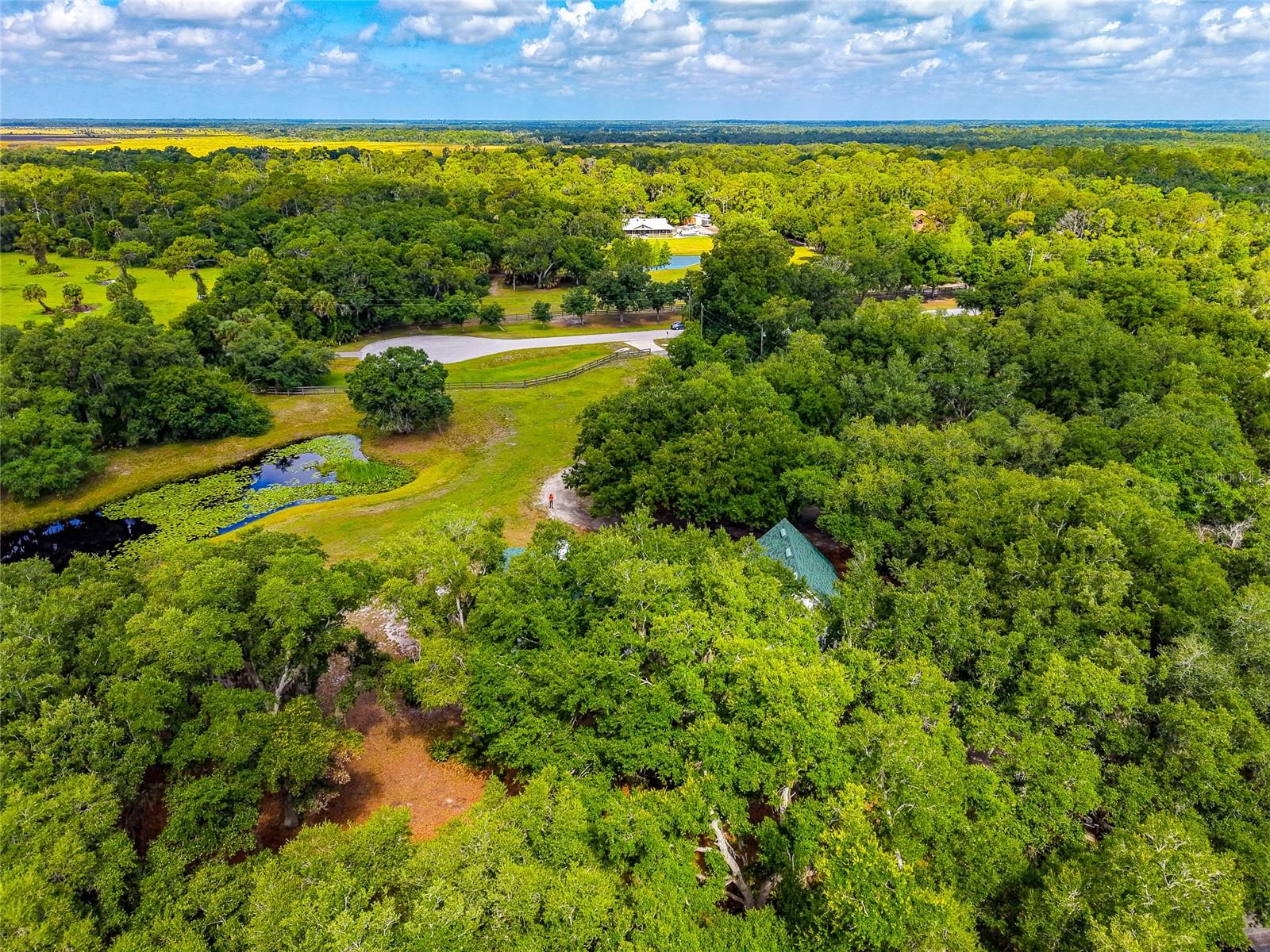 14705 MOSSY HAMMOCK LN, MYAKKA CITY, FL, 34251