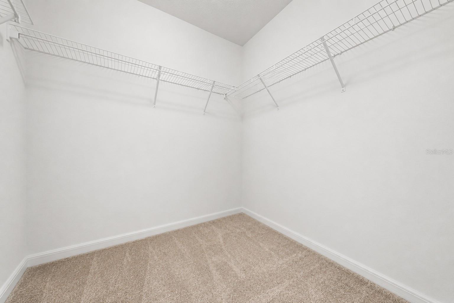 15568 BLACKBEAD ST, WINTER GARDEN, FL, 34787