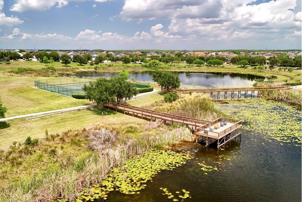 15568 BLACKBEAD ST, WINTER GARDEN, FL, 34787
