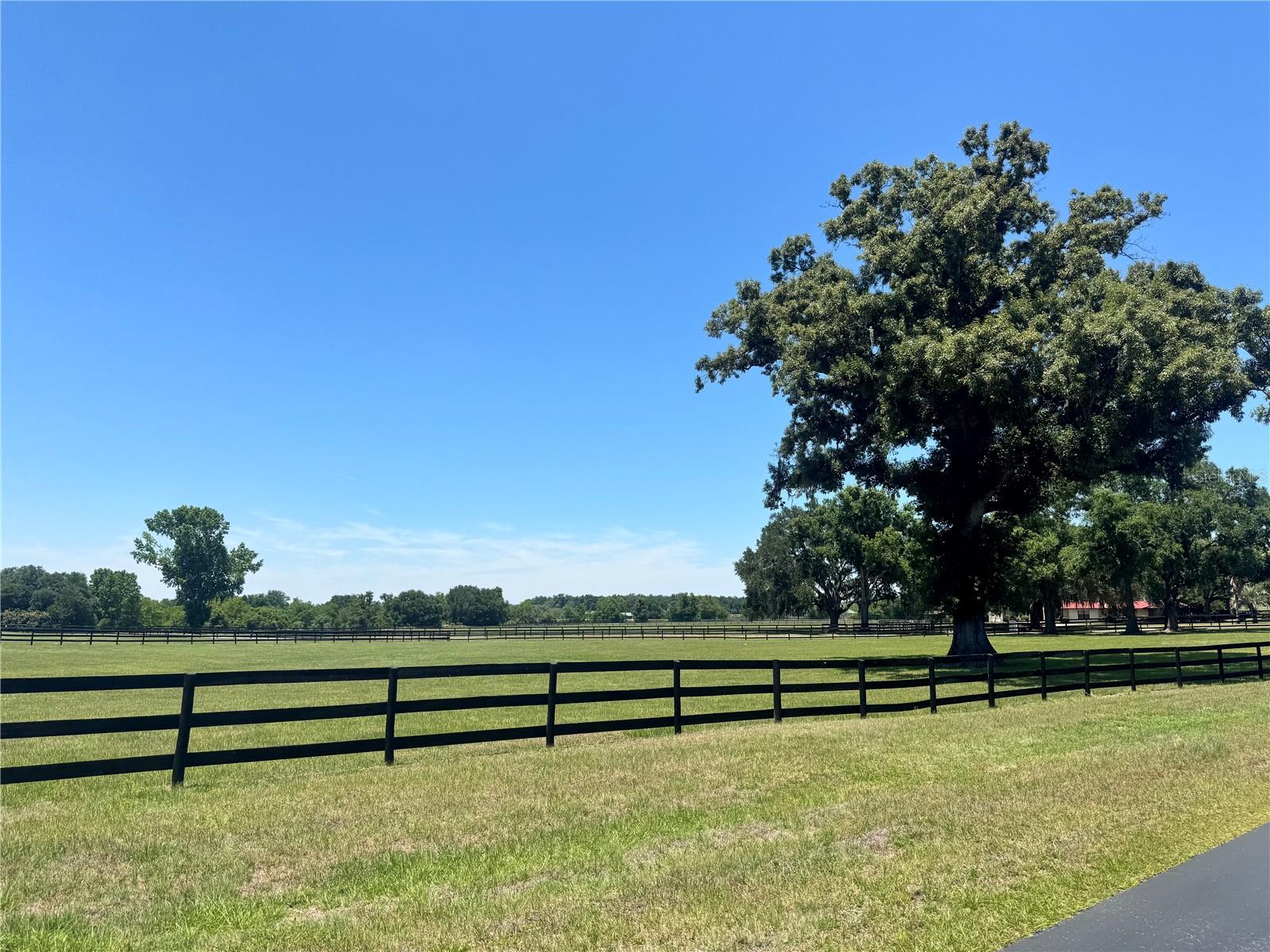 11145 NW 17TH COURT RD, OCALA, FL, 34475