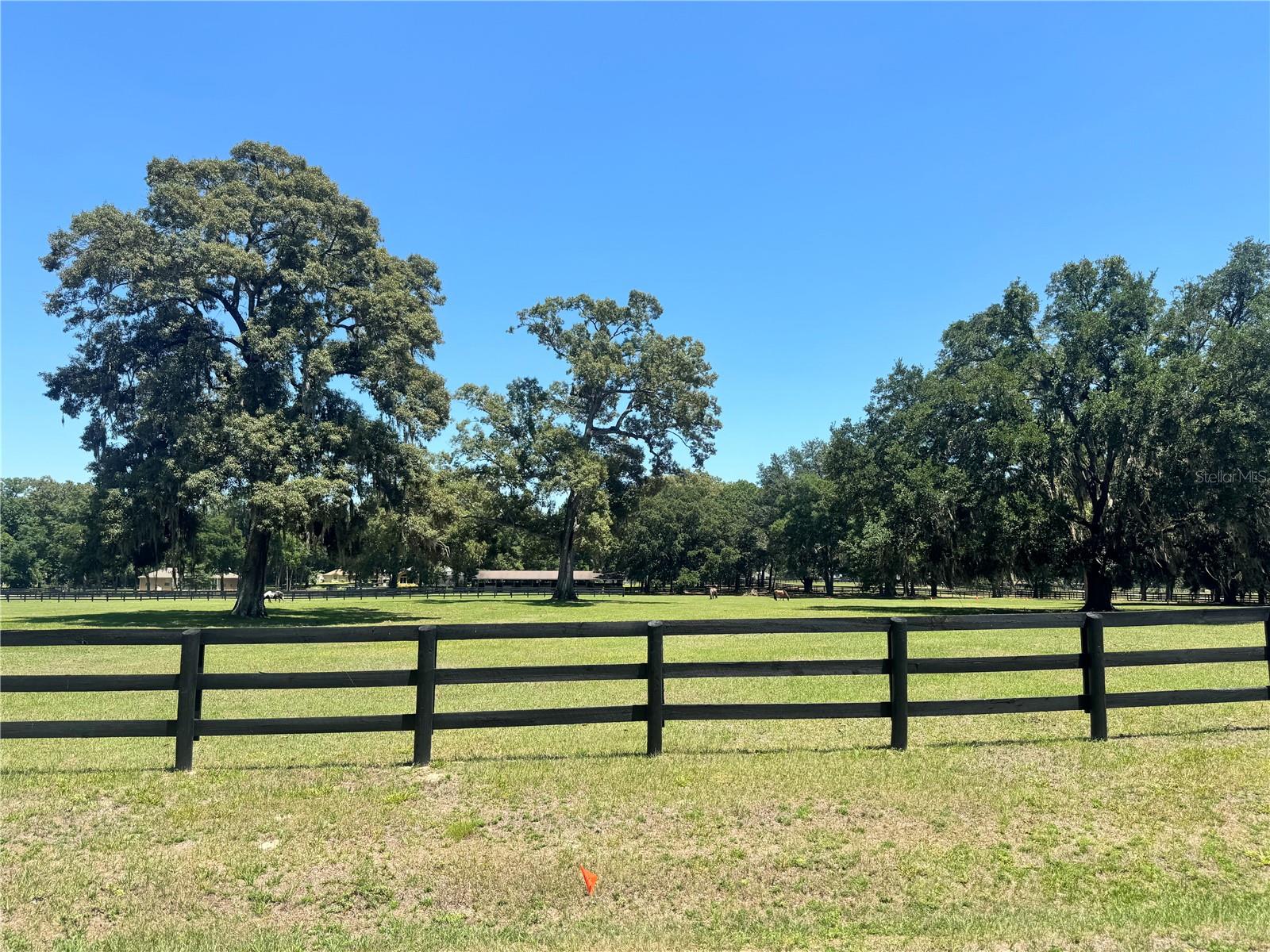 11145 NW 17TH COURT RD, OCALA, FL, 34475