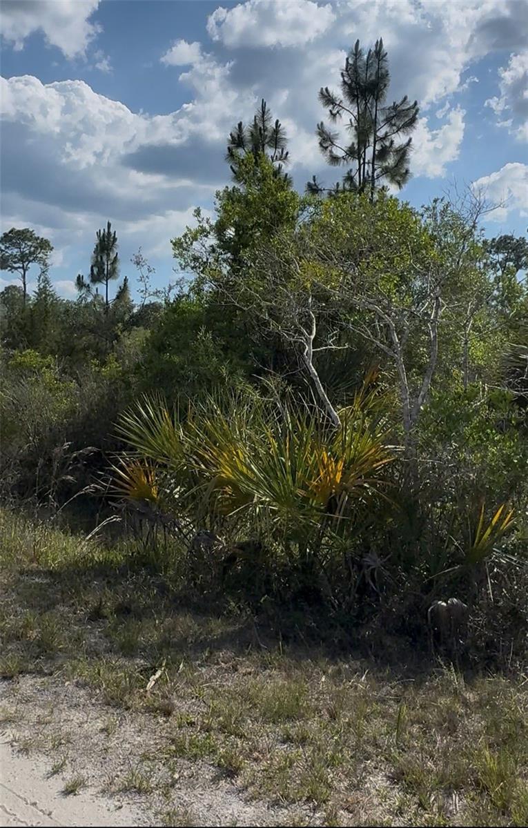 18455 QUIET RD, WEEKI WACHEE, FL, 34614
