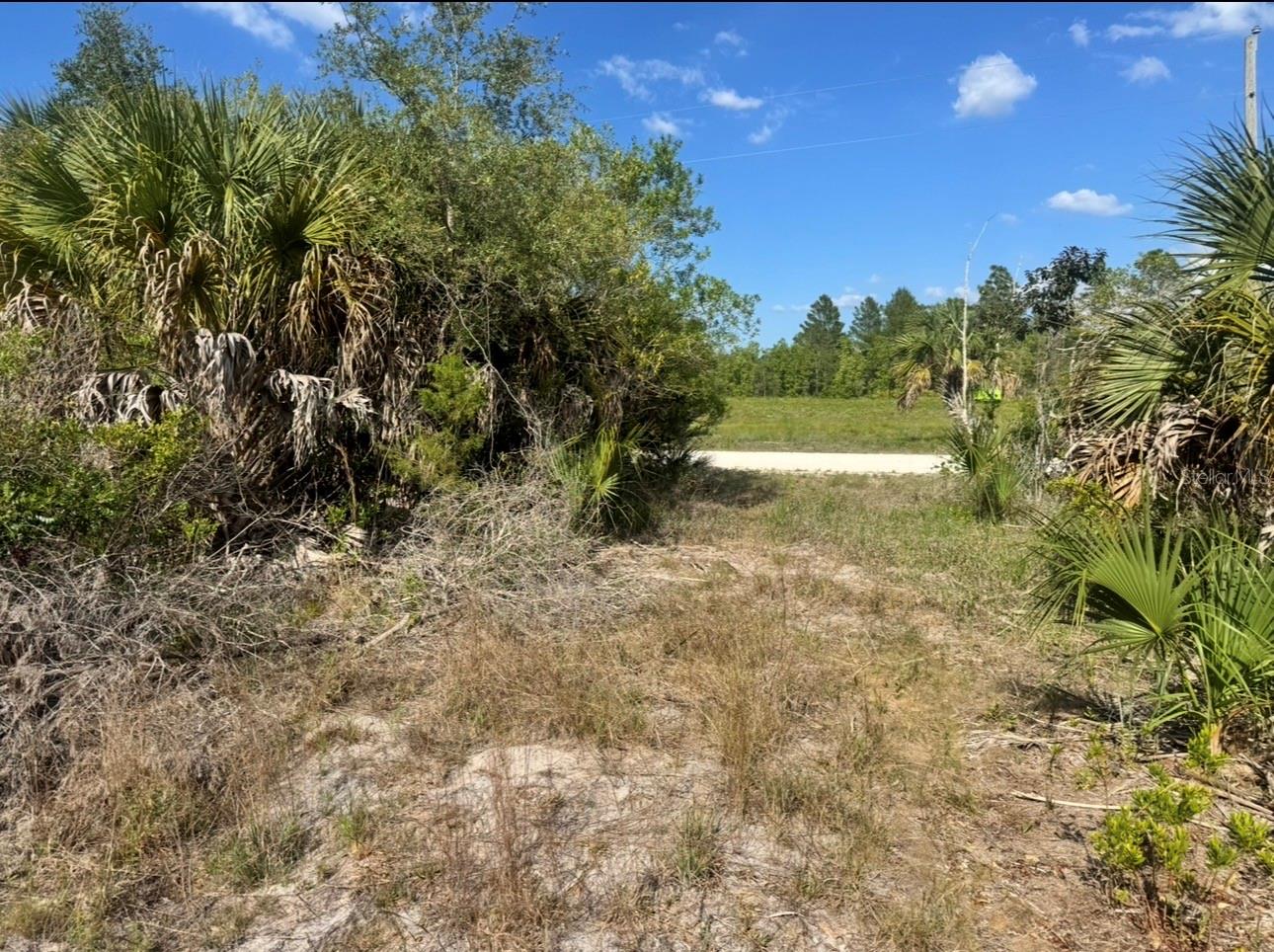 18455 QUIET RD, WEEKI WACHEE, FL, 34614