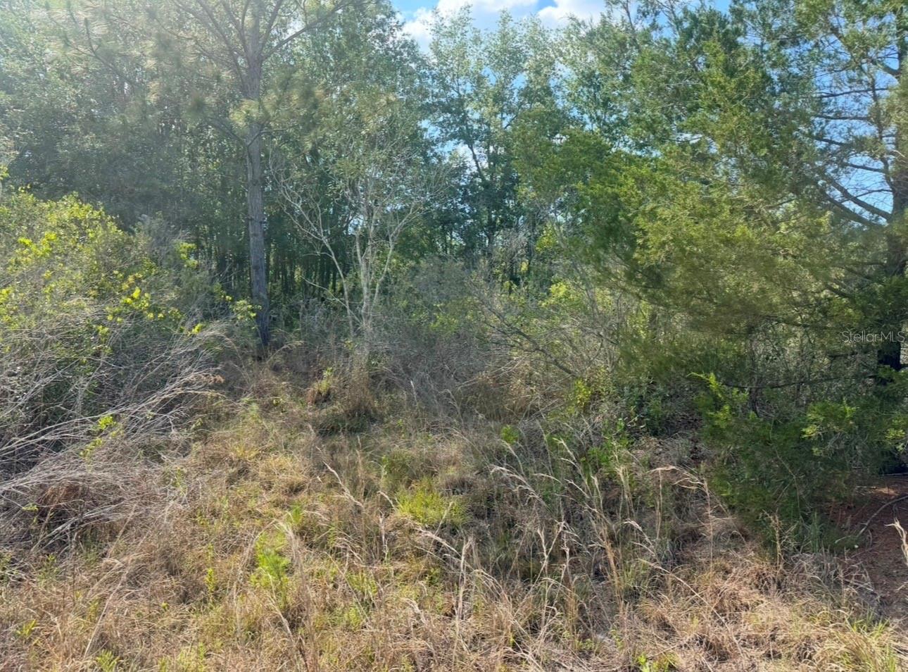 18455 QUIET RD, WEEKI WACHEE, FL, 34614