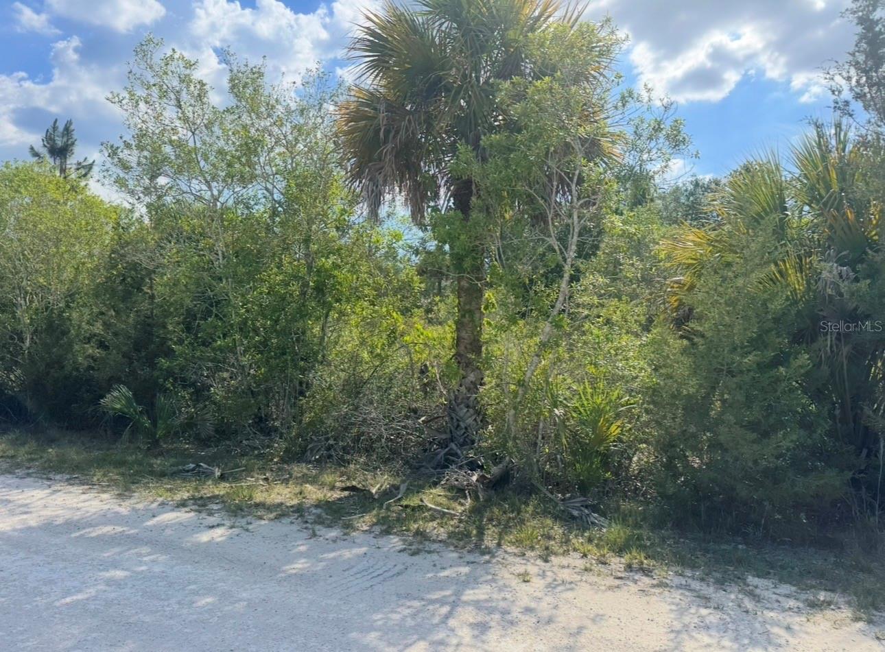 18455 QUIET RD, WEEKI WACHEE, FL, 34614