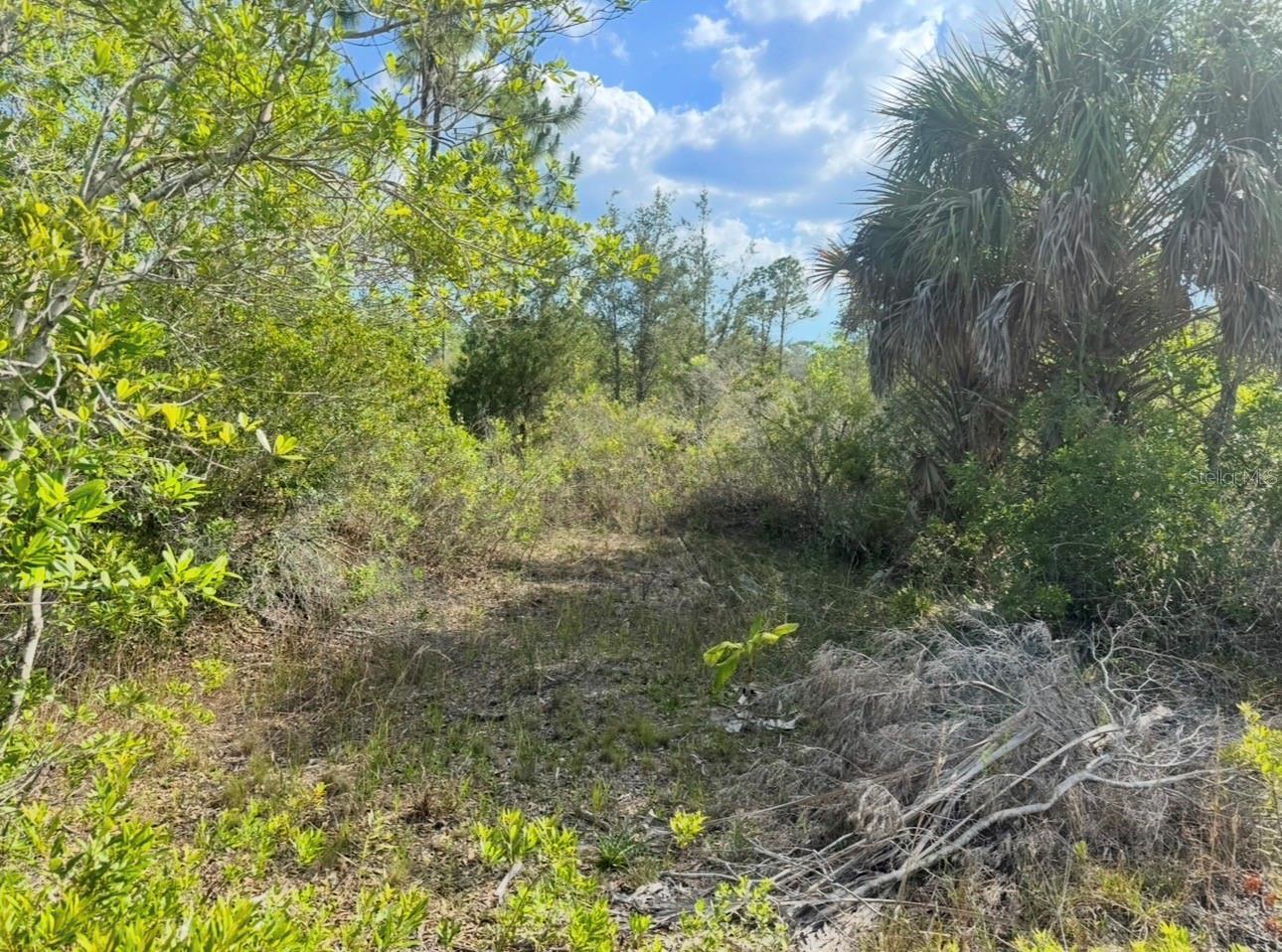 18455 QUIET RD, WEEKI WACHEE, FL, 34614