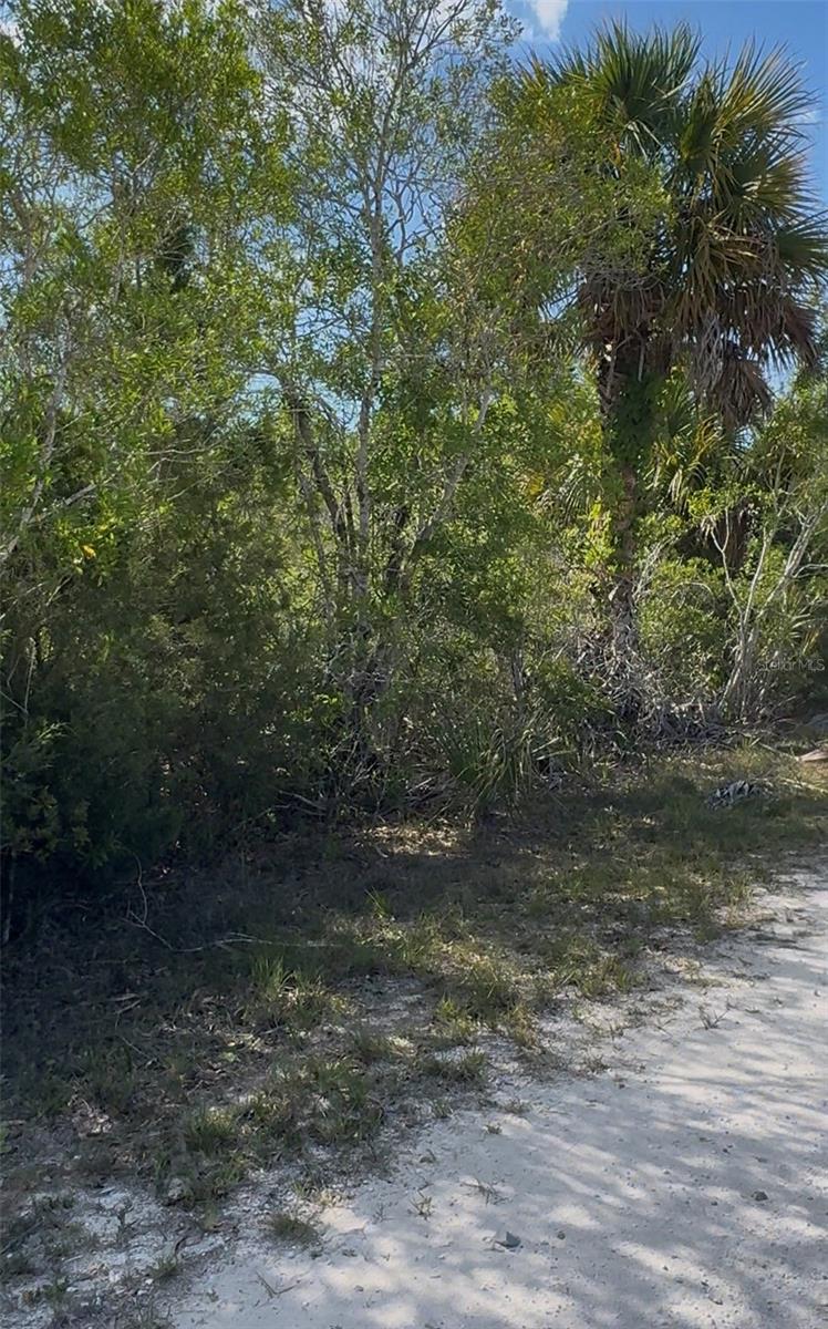 18455 QUIET RD, WEEKI WACHEE, FL, 34614