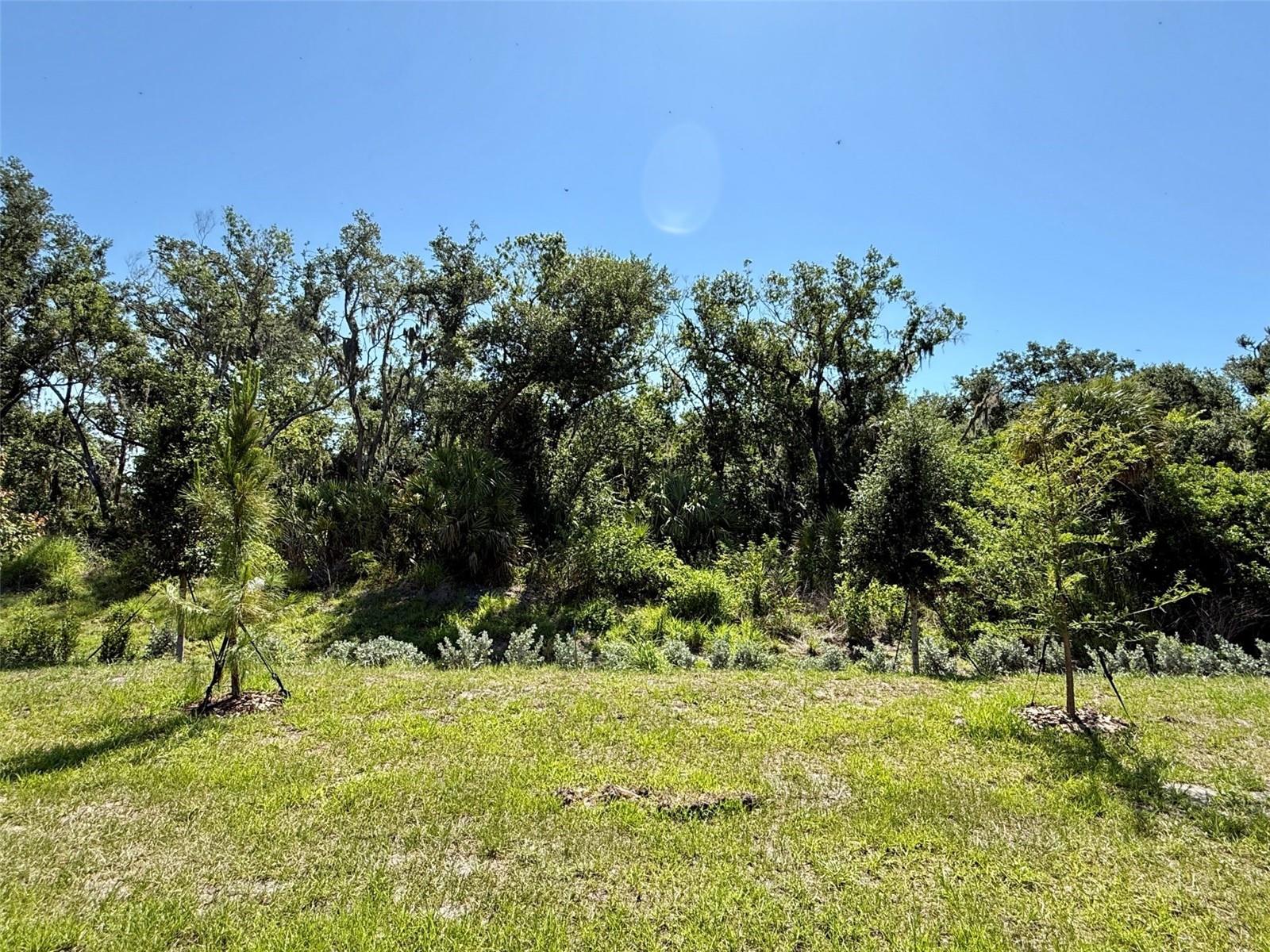 10874 CURVING CREEK LOOP, PARRISH, FL, 34219