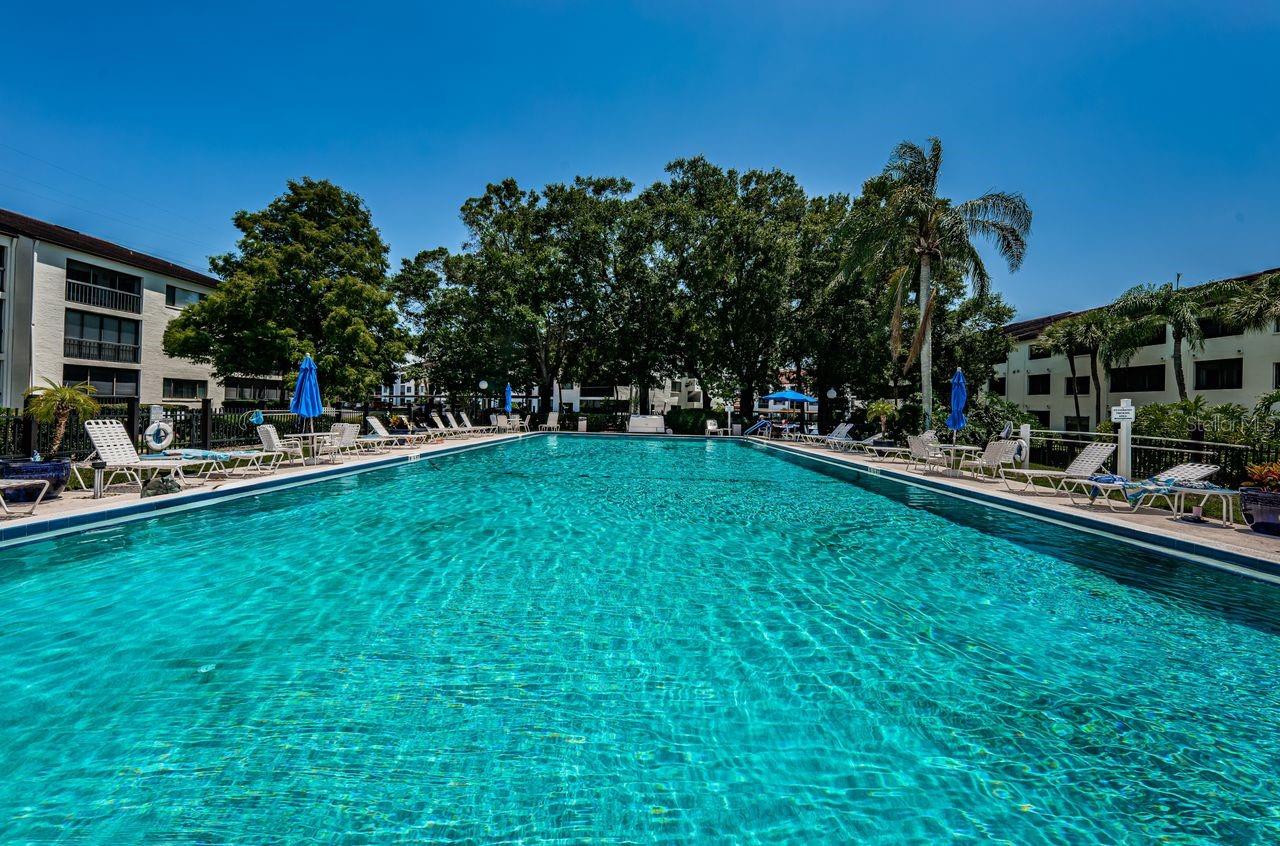 2581 COUNTRYSIDE BLVD #304, CLEARWATER, FL, 33761