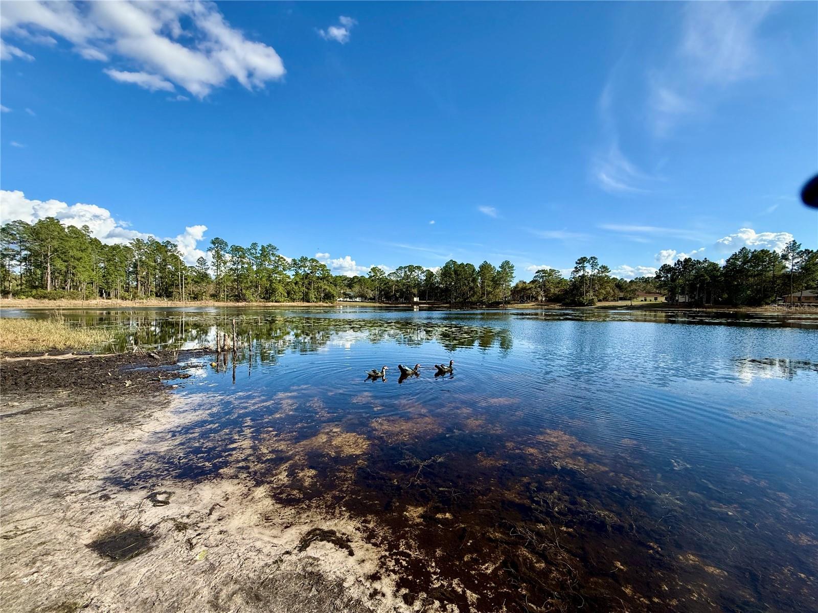 LOT 1 JERICHO TRL, EUSTIS, FL, 32736