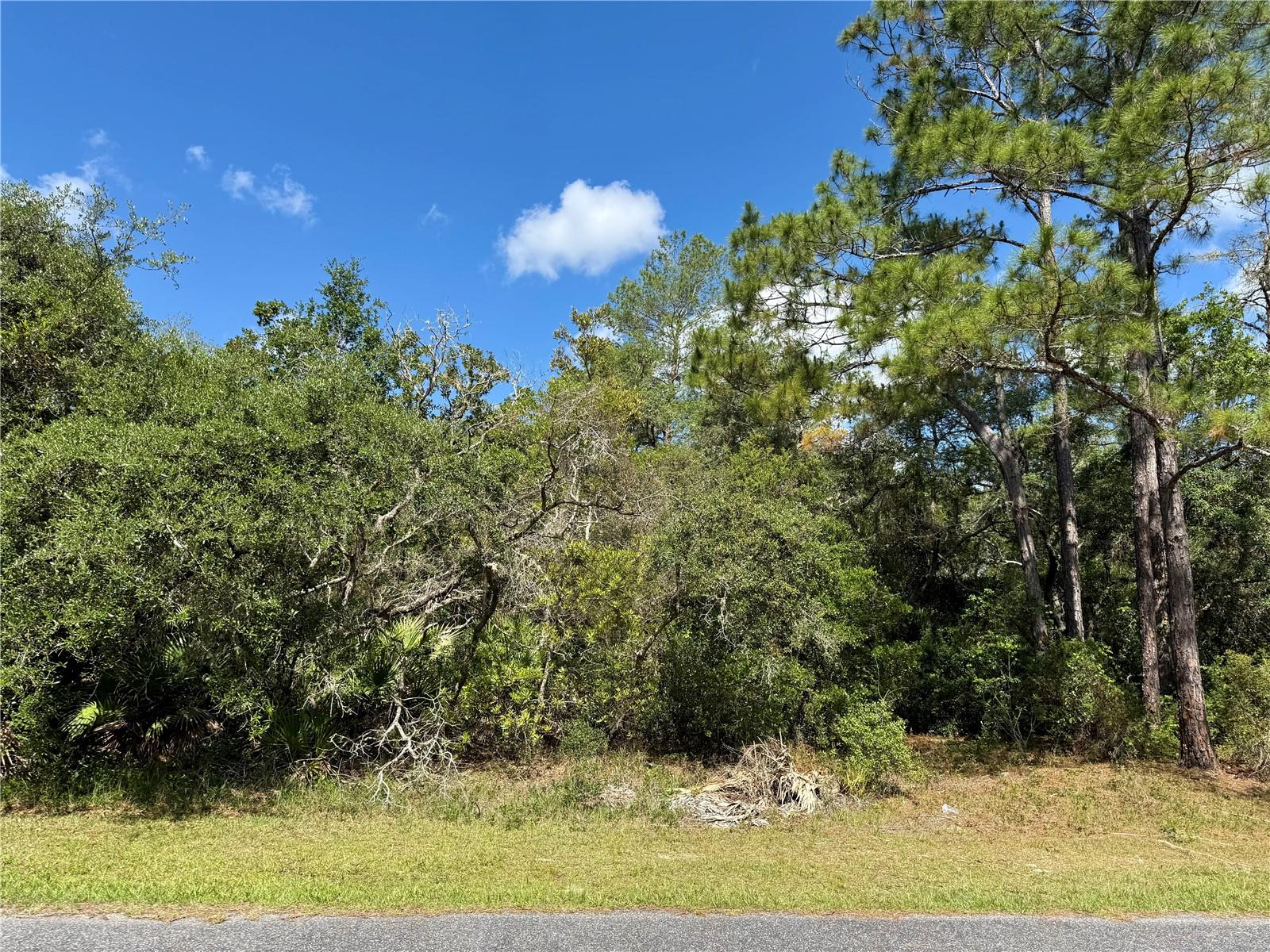 LOT 1 JERICHO TRL, EUSTIS, FL, 32736