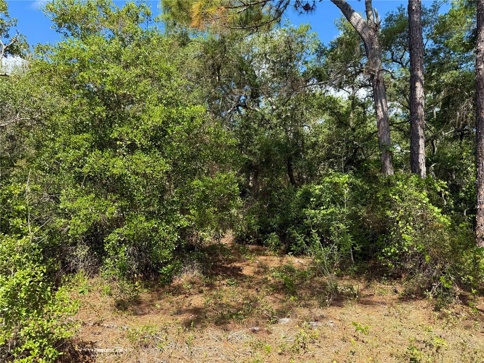 LOT 1 JERICHO TRL, EUSTIS, FL, 32736