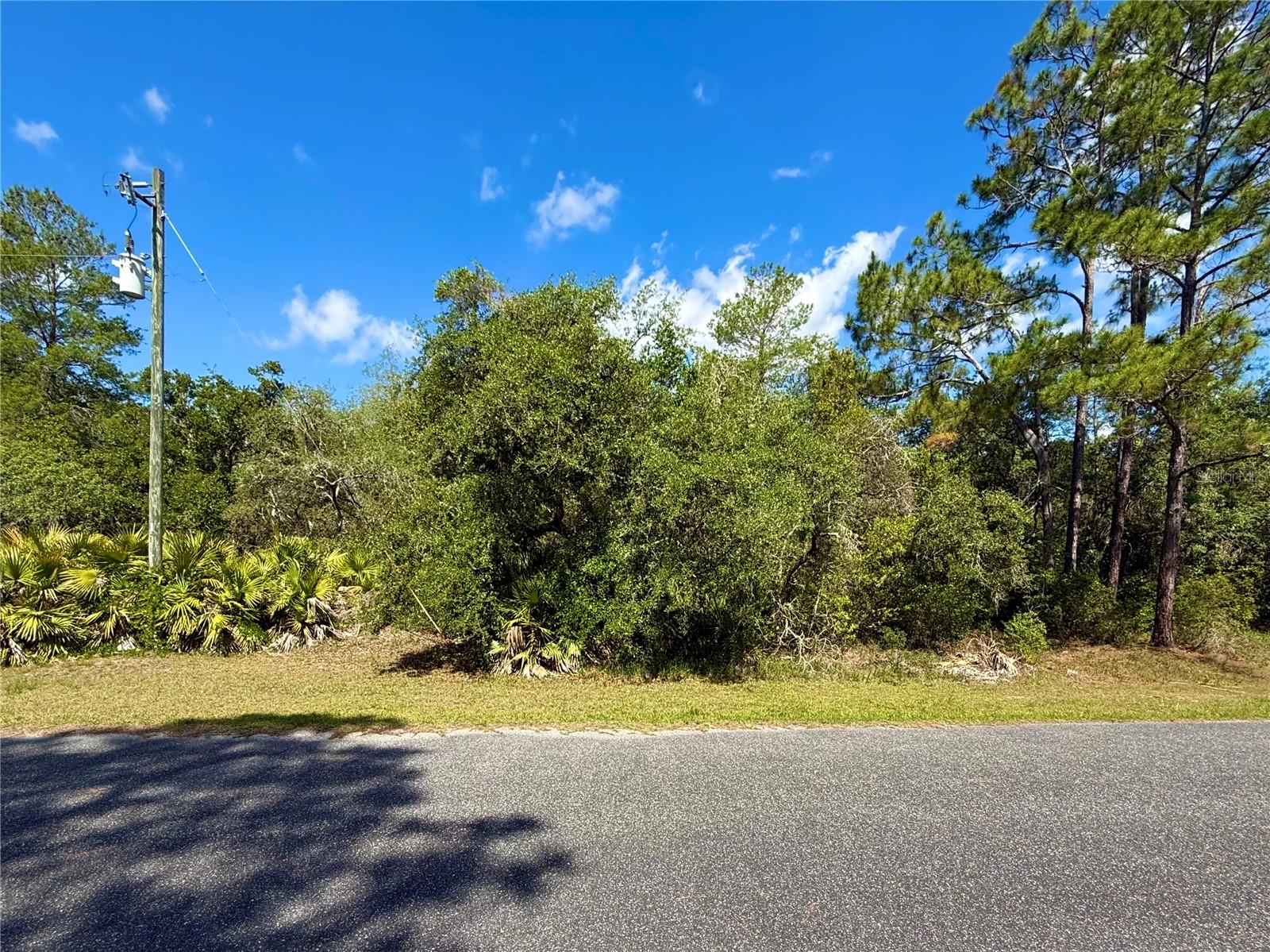 LOT 1 JERICHO TRL, EUSTIS, FL, 32736