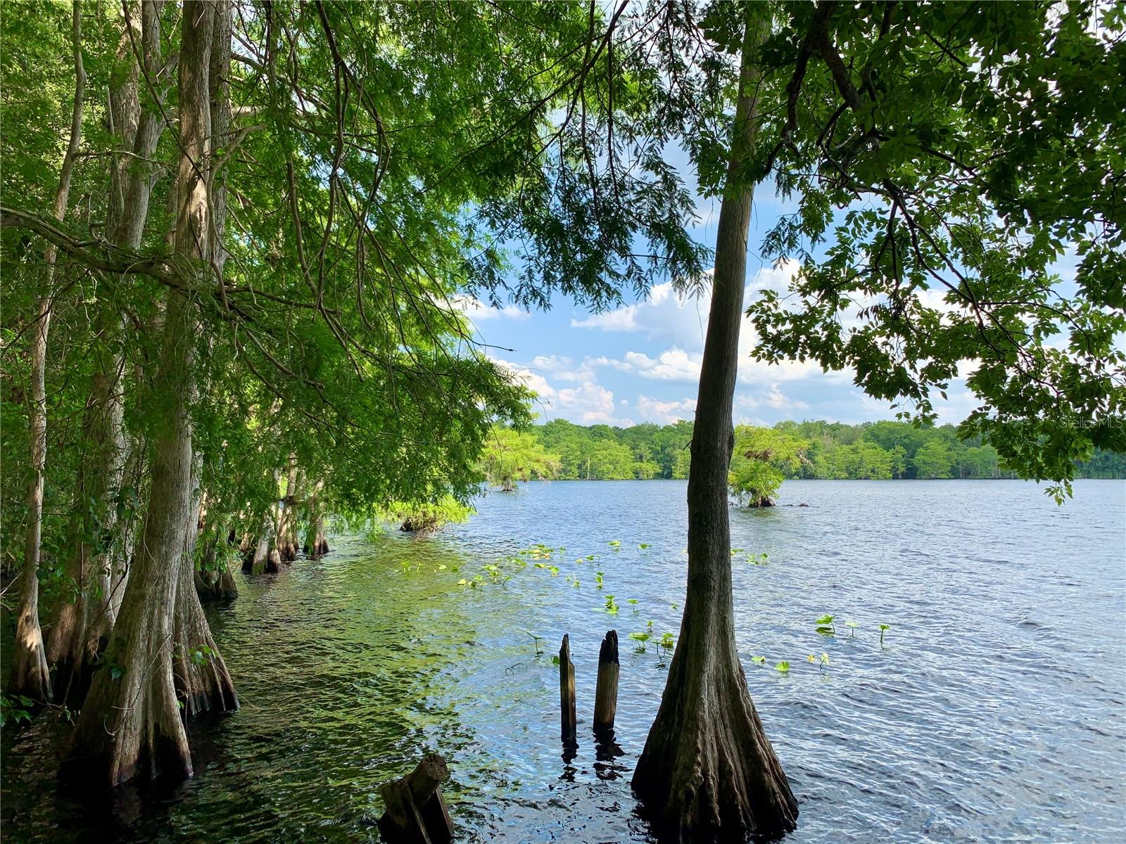LOT 1 JERICHO TRL, EUSTIS, FL, 32736