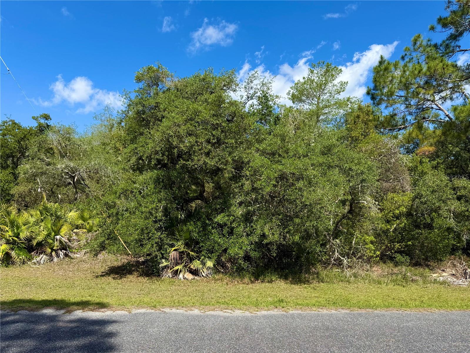 LOT 1 JERICHO TRL, EUSTIS, FL, 32736