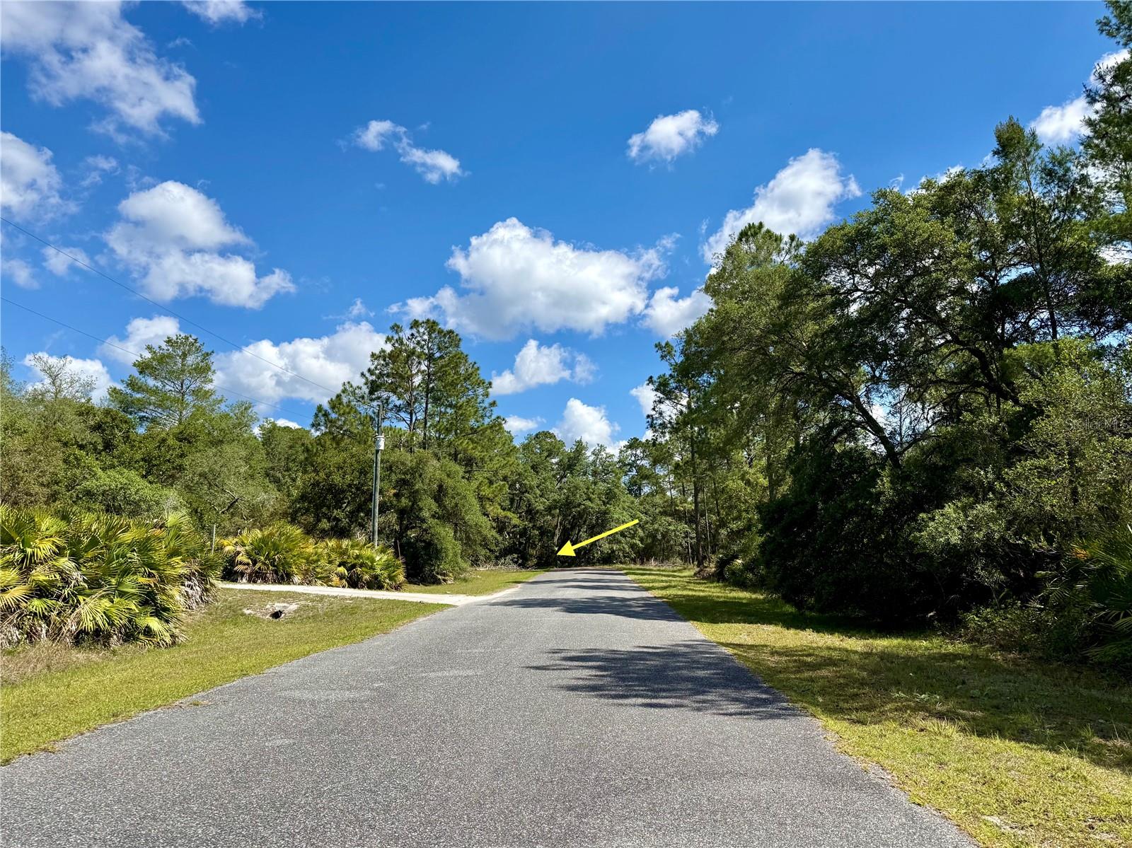 LOT 1 JERICHO TRL, EUSTIS, FL, 32736