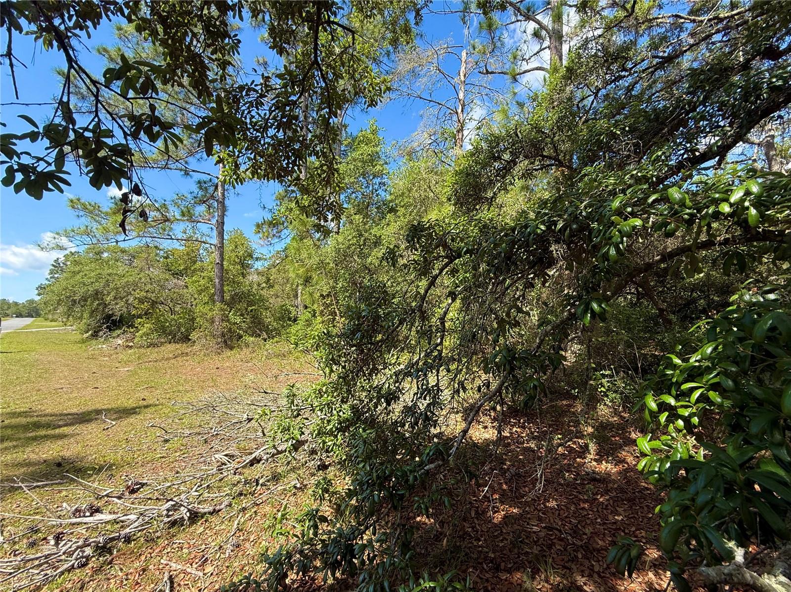 LOT 1 JERICHO TRL, EUSTIS, FL, 32736