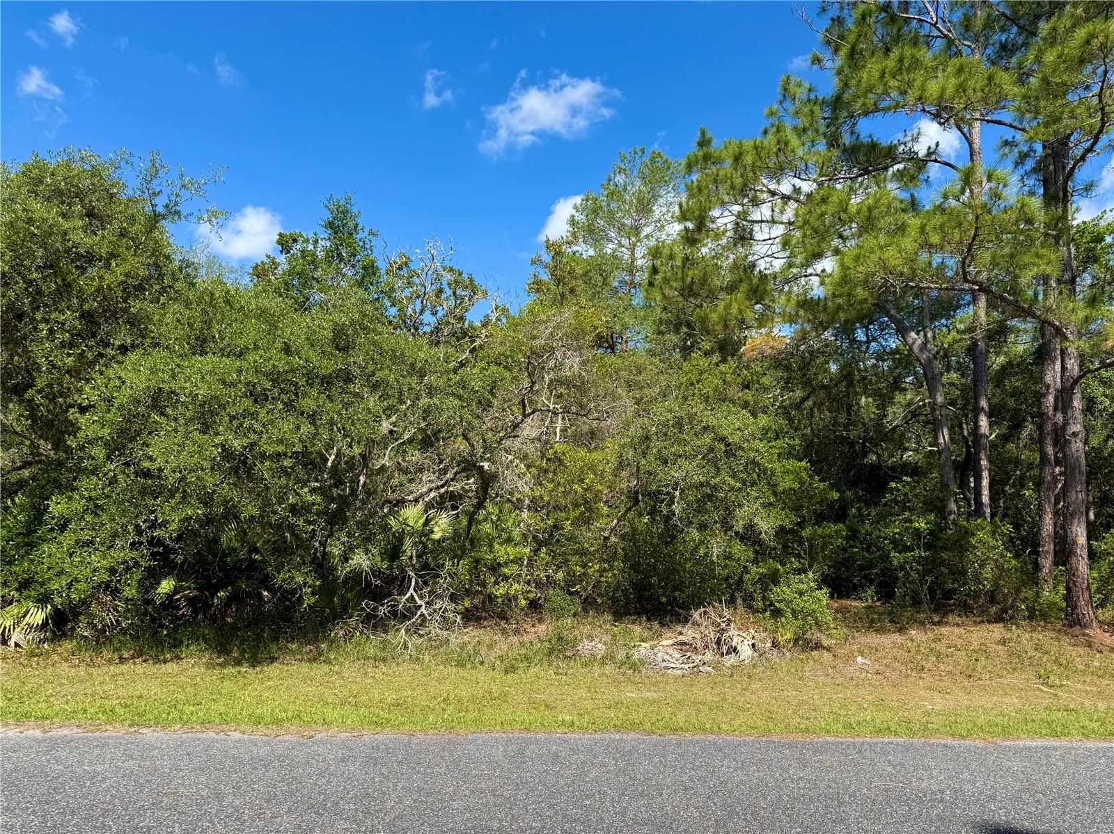 LOT 1 JERICHO TRL, EUSTIS, FL, 32736