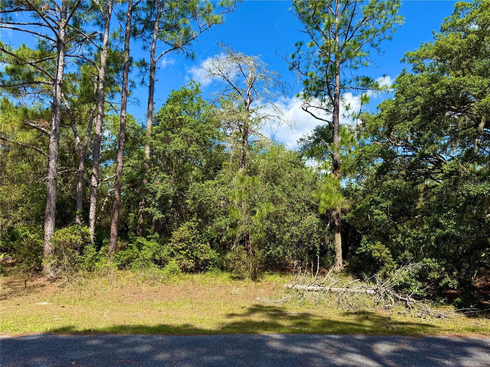 LOT 1 JERICHO TRL, EUSTIS, FL, 32736
