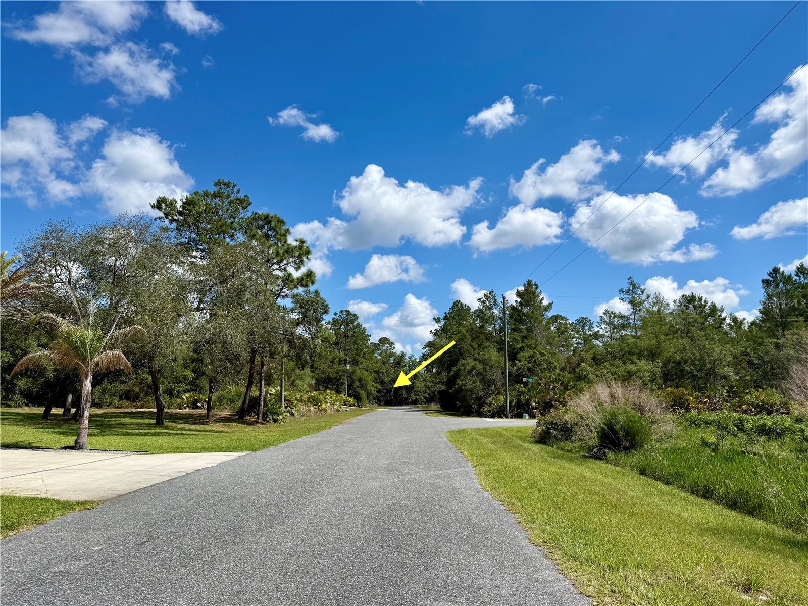 LOT 1 JERICHO TRL, EUSTIS, FL, 32736