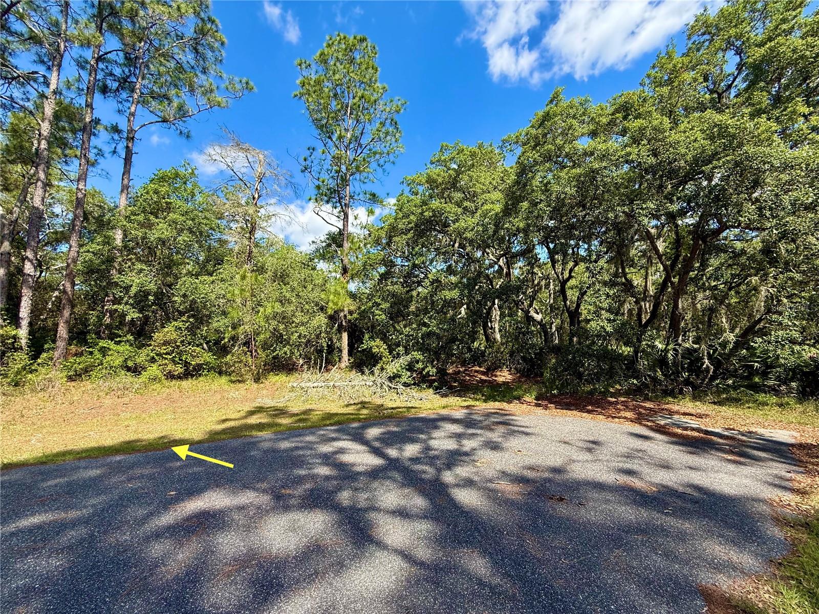 LOT 1 JERICHO TRL, EUSTIS, FL, 32736