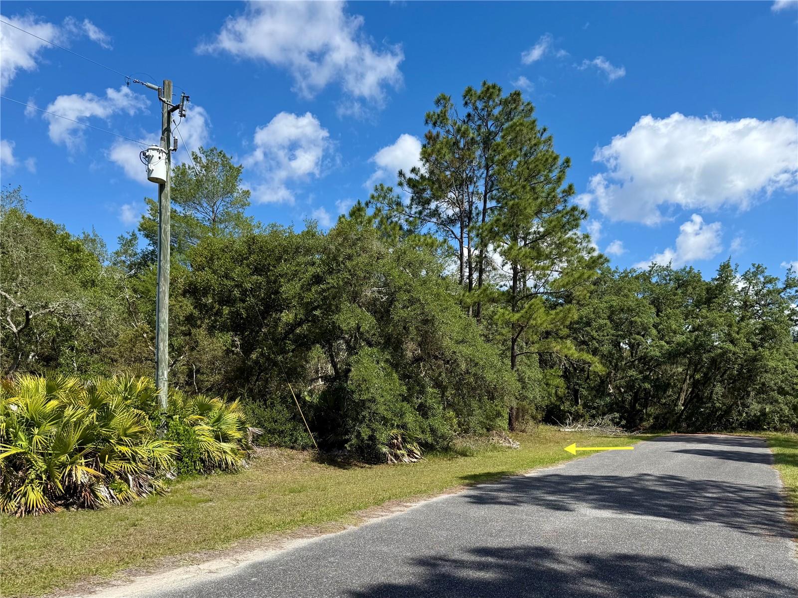 LOT 1 JERICHO TRL, EUSTIS, FL, 32736