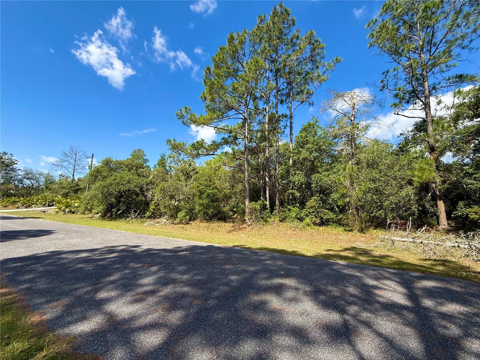 LOT 1 JERICHO TRL, EUSTIS, FL, 32736