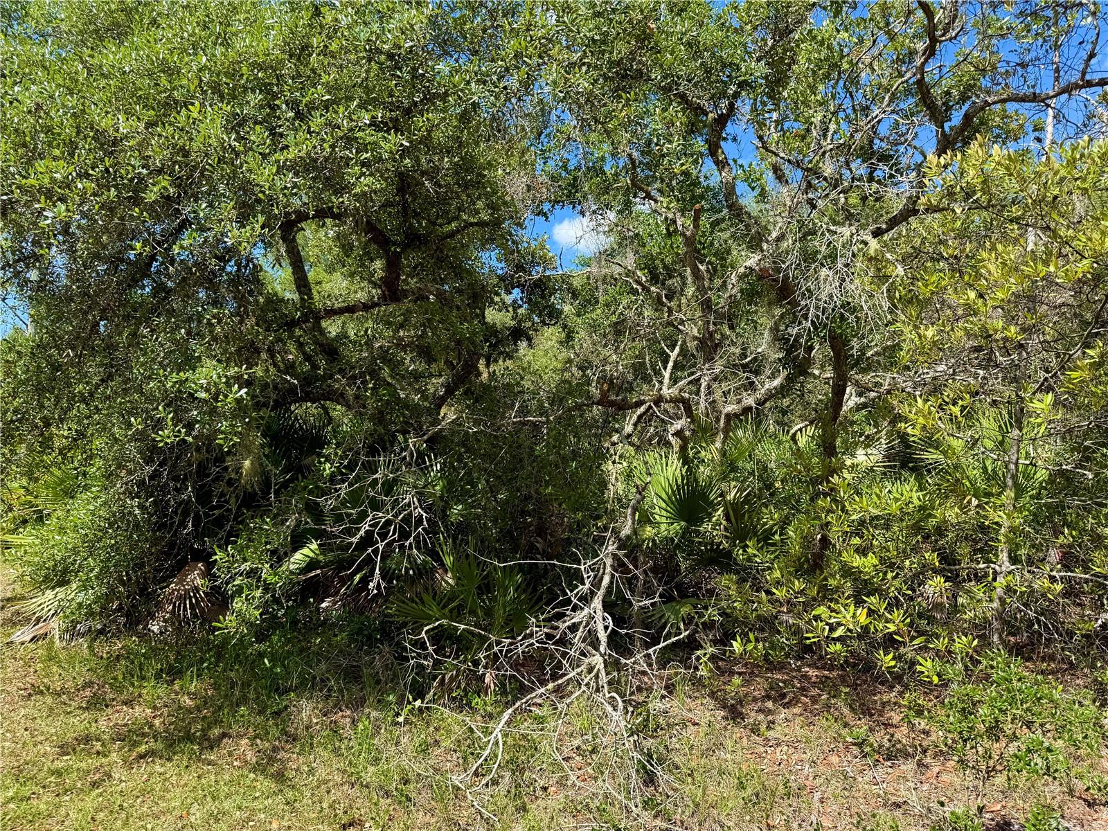 LOT 1 JERICHO TRL, EUSTIS, FL, 32736