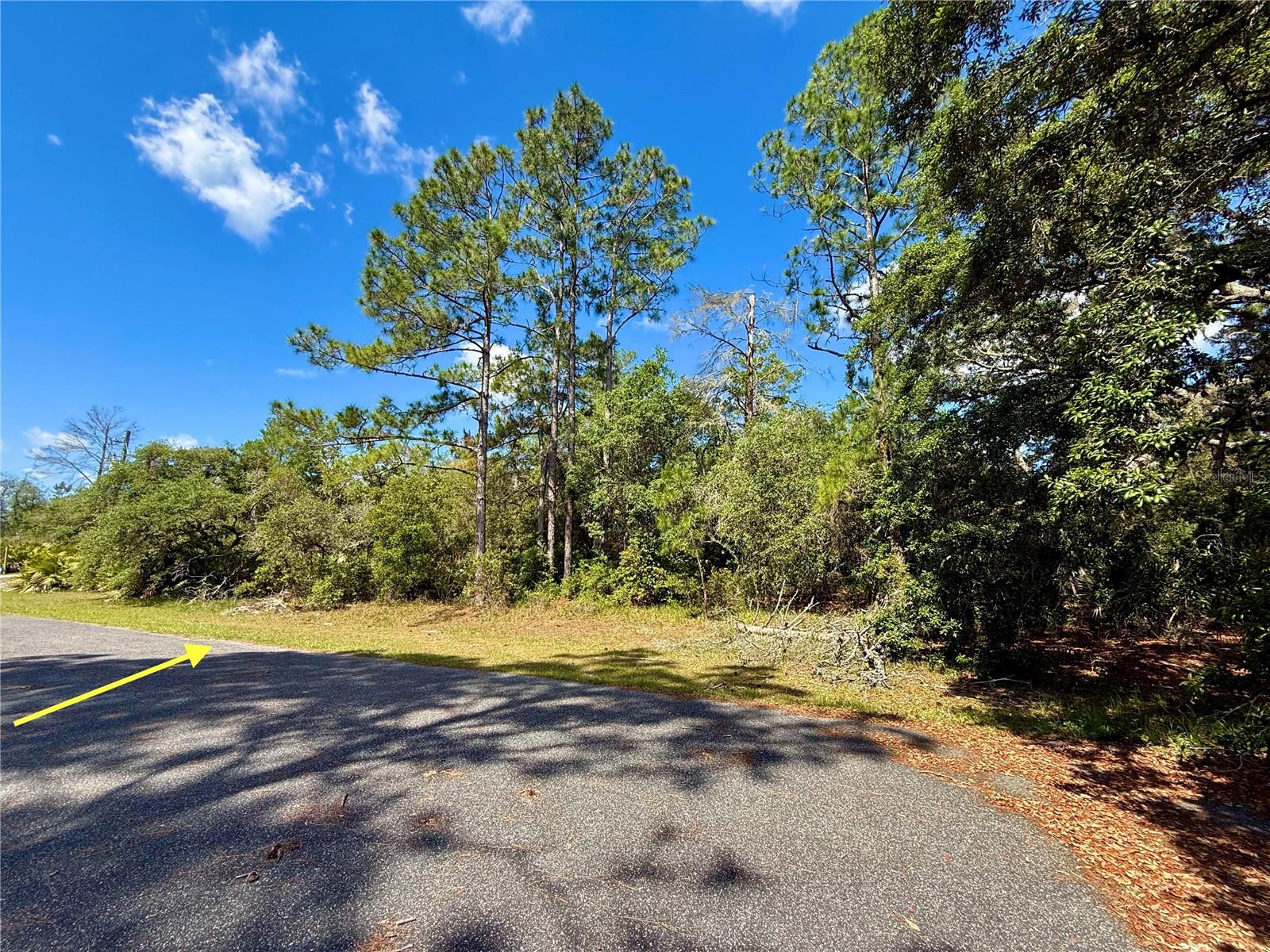 LOT 1 JERICHO TRL, EUSTIS, FL, 32736