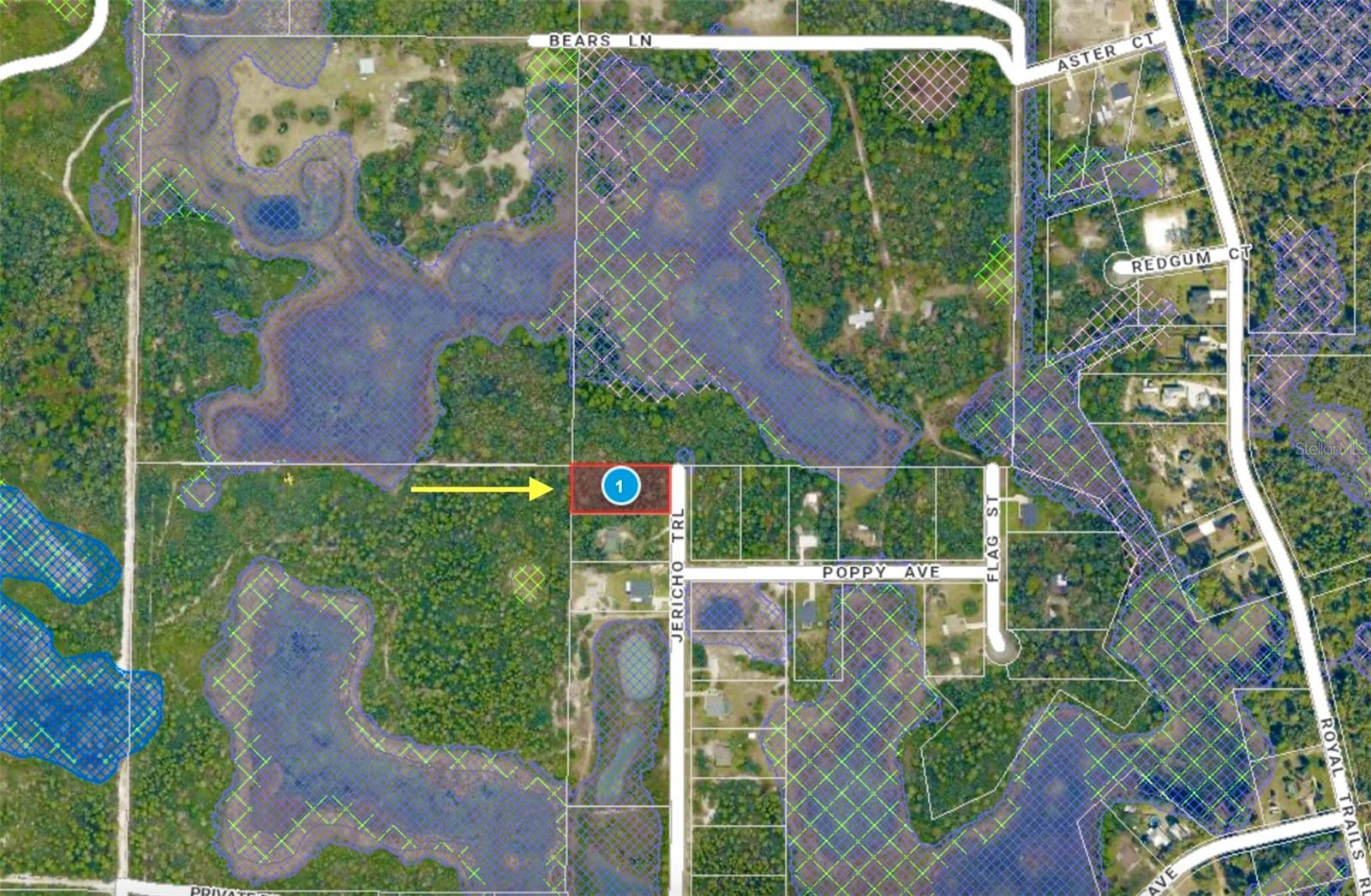 LOT 1 JERICHO TRL, EUSTIS, FL, 32736