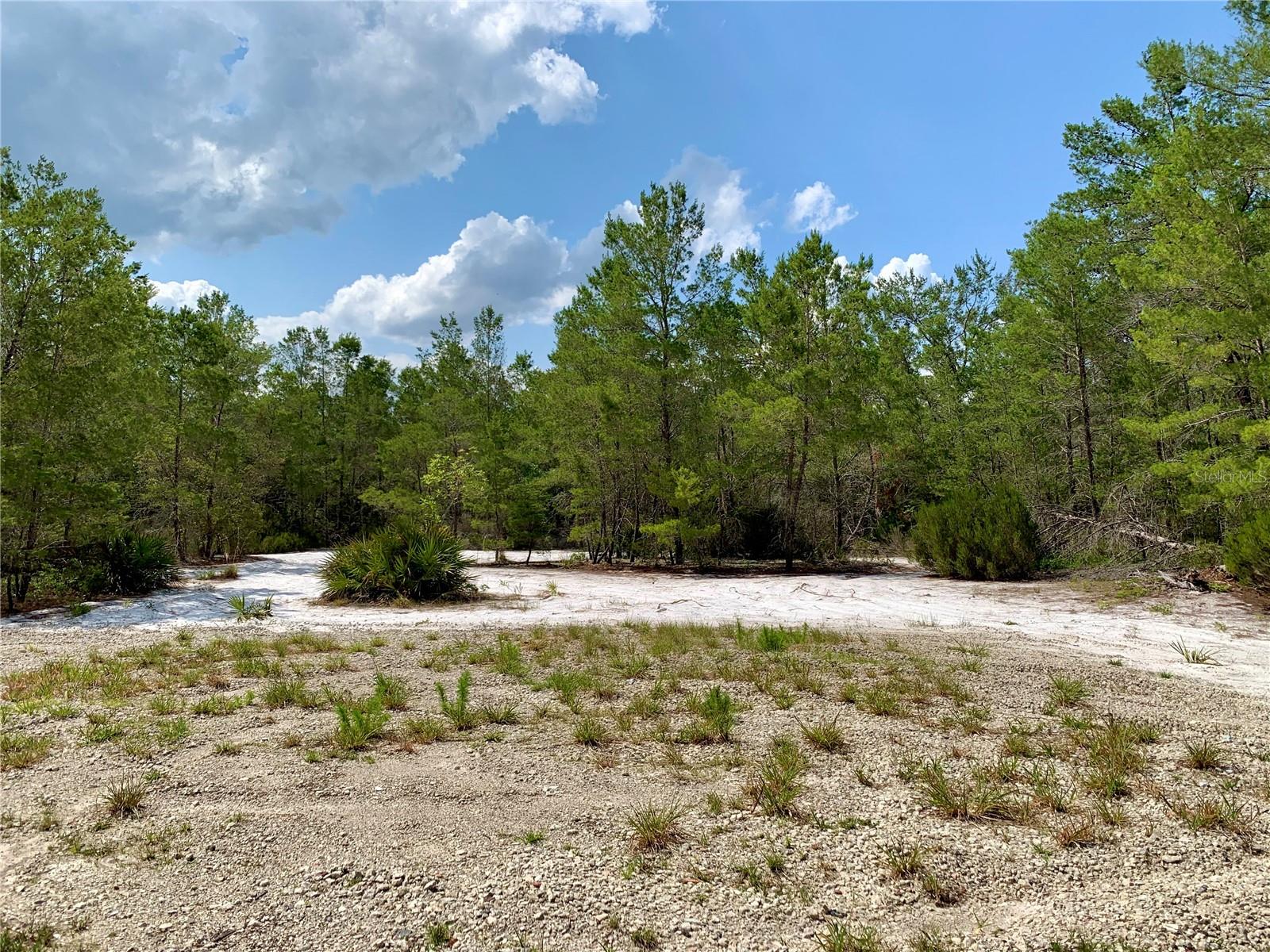 LOT 1 JERICHO TRL, EUSTIS, FL, 32736