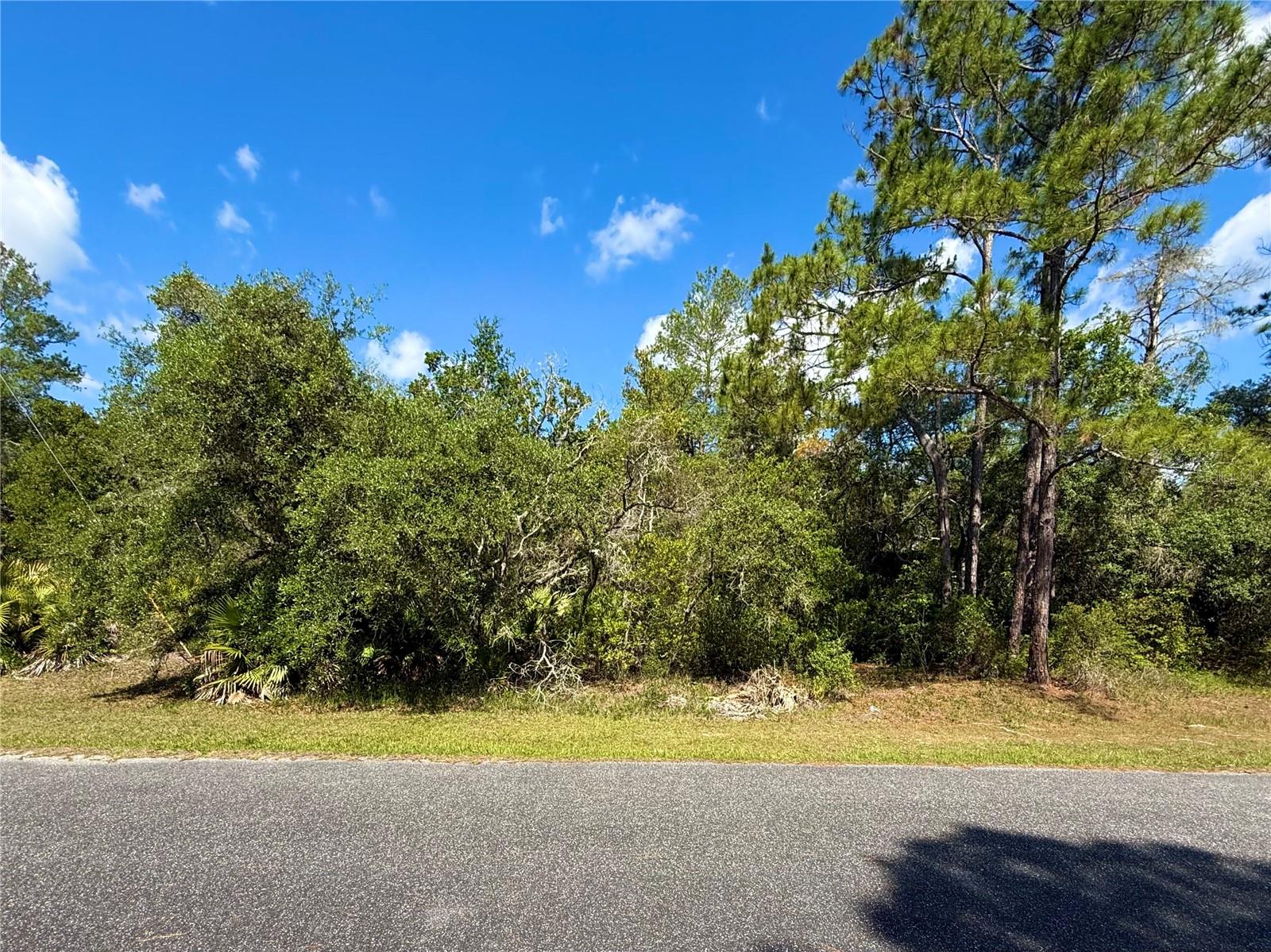 LOT 1 JERICHO TRL, EUSTIS, FL, 32736