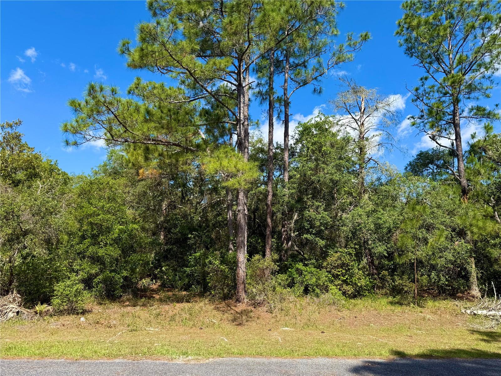 LOT 1 JERICHO TRL, EUSTIS, FL, 32736