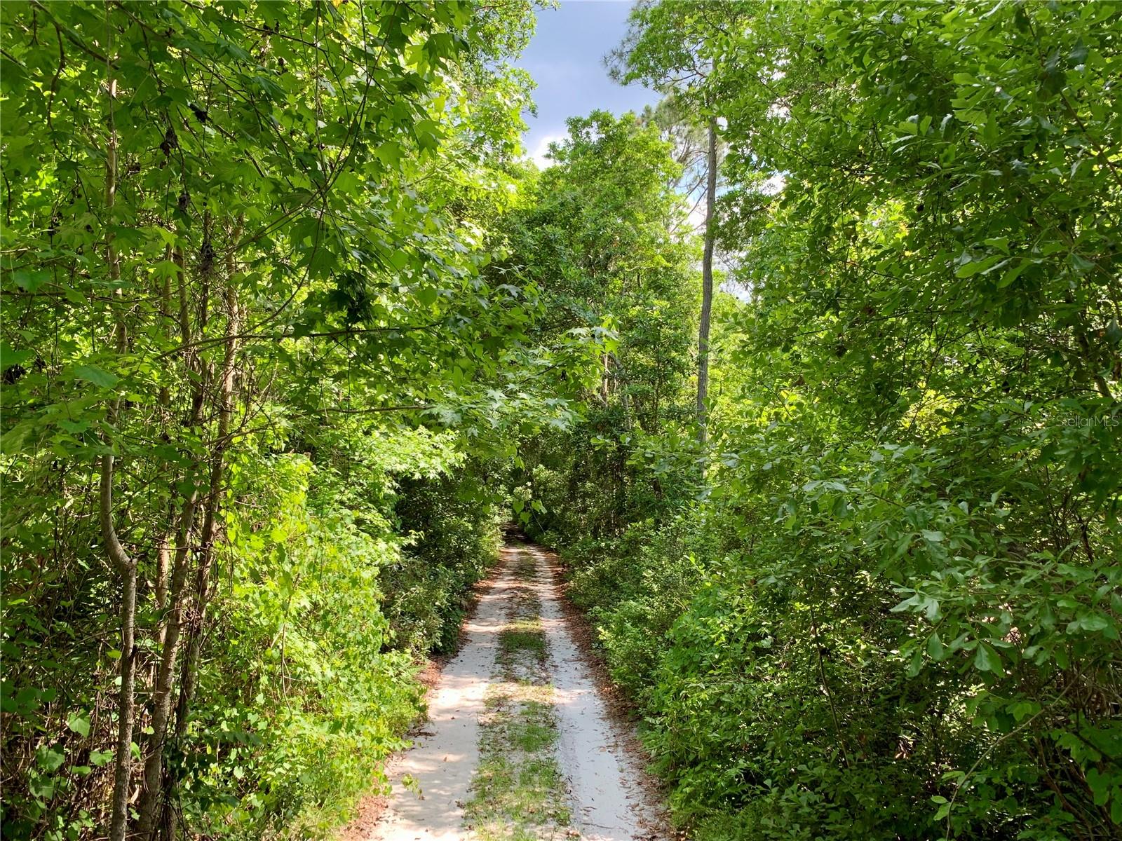 LOT 1 JERICHO TRL, EUSTIS, FL, 32736