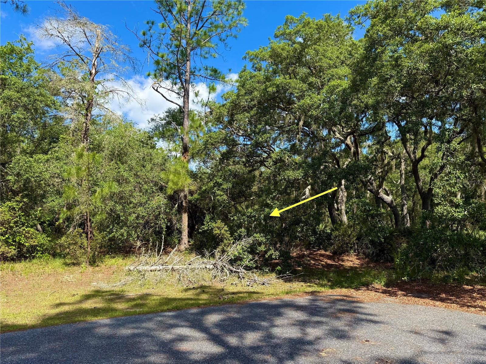 LOT 1 JERICHO TRL, EUSTIS, FL, 32736