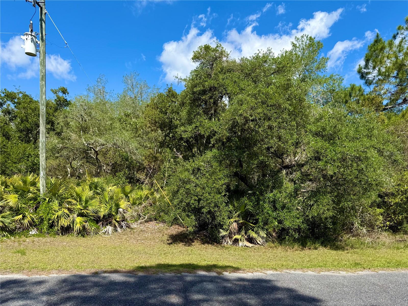 LOT 1 JERICHO TRL, EUSTIS, FL, 32736