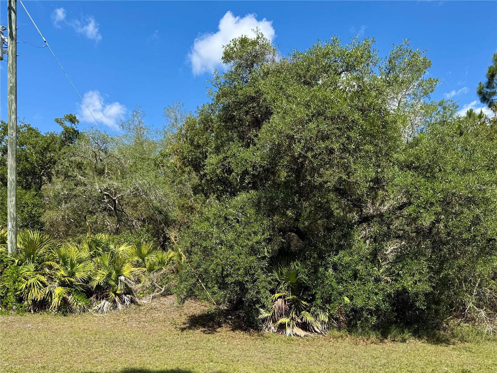 LOT 1 JERICHO TRL, EUSTIS, FL, 32736