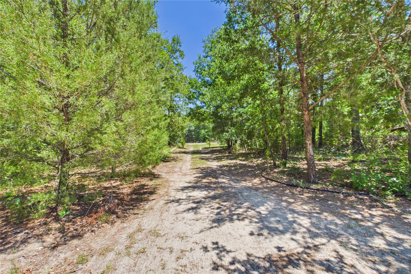 6844 S IRMA PT, LECANTO, FL, 34461