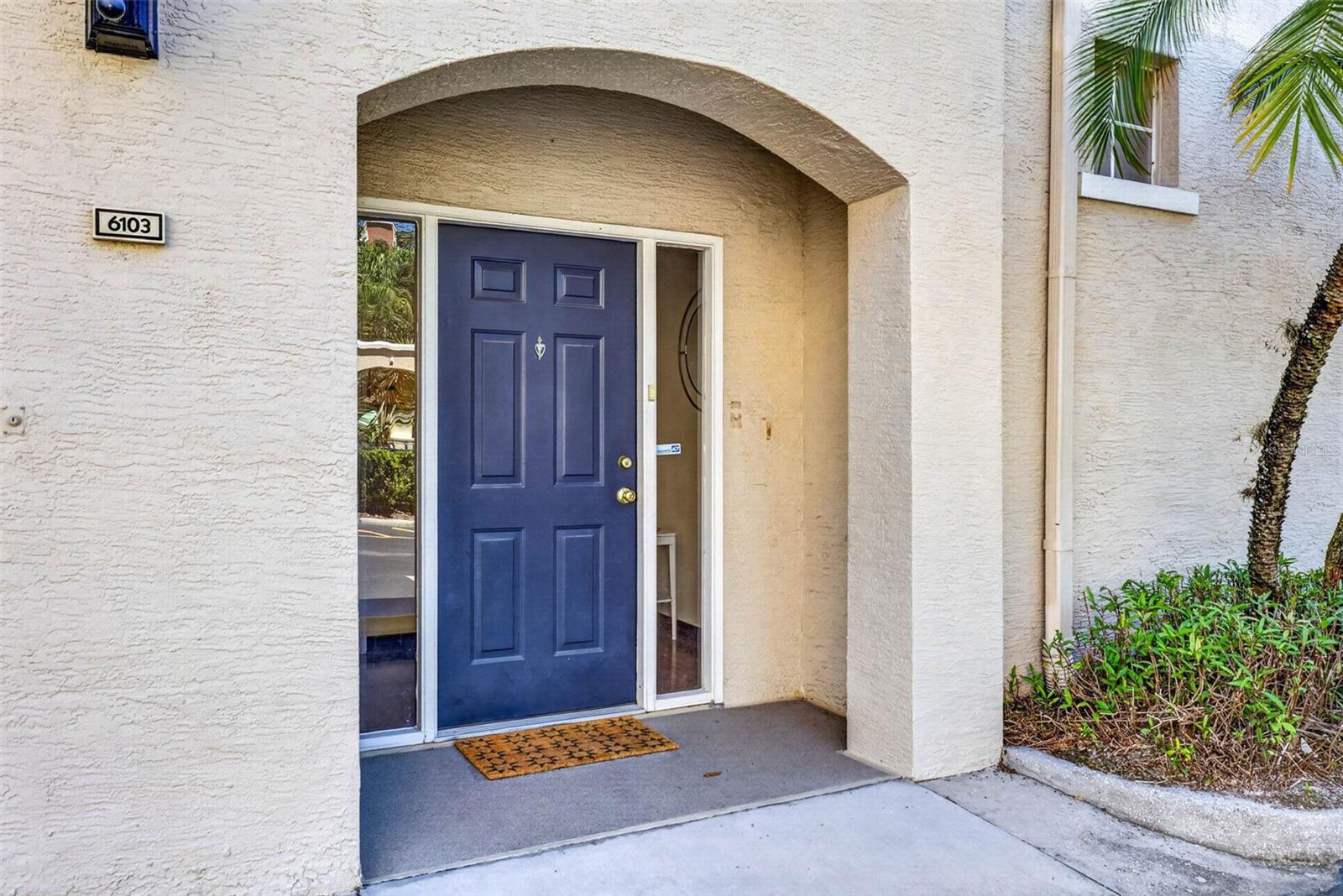 501 KNIGHTS RUN AVE #6103, TAMPA, FL, 33602