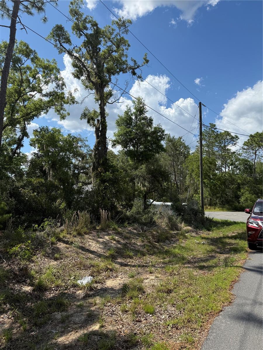TBD OAK PASS RUN, OCALA, FL, 34472