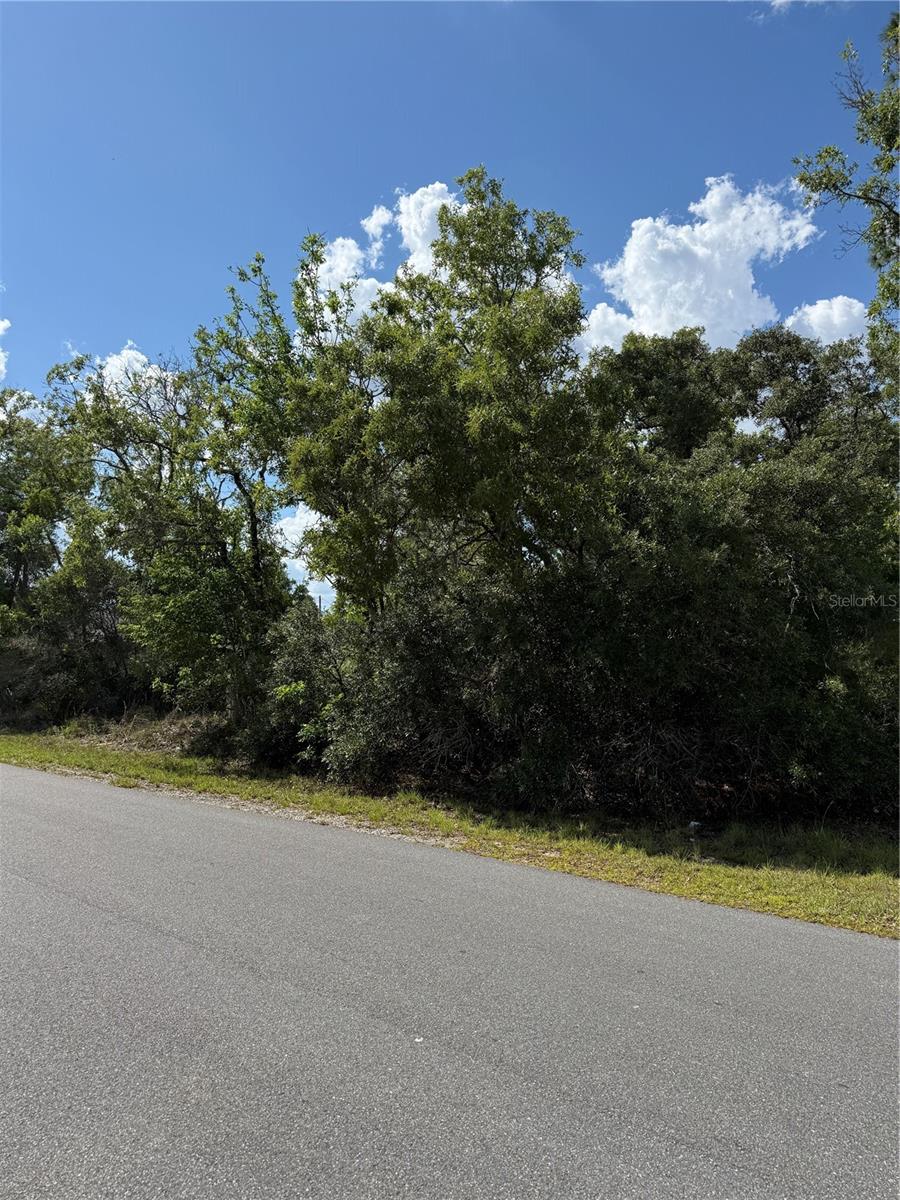 TBD OAK PASS RUN, OCALA, FL, 34472