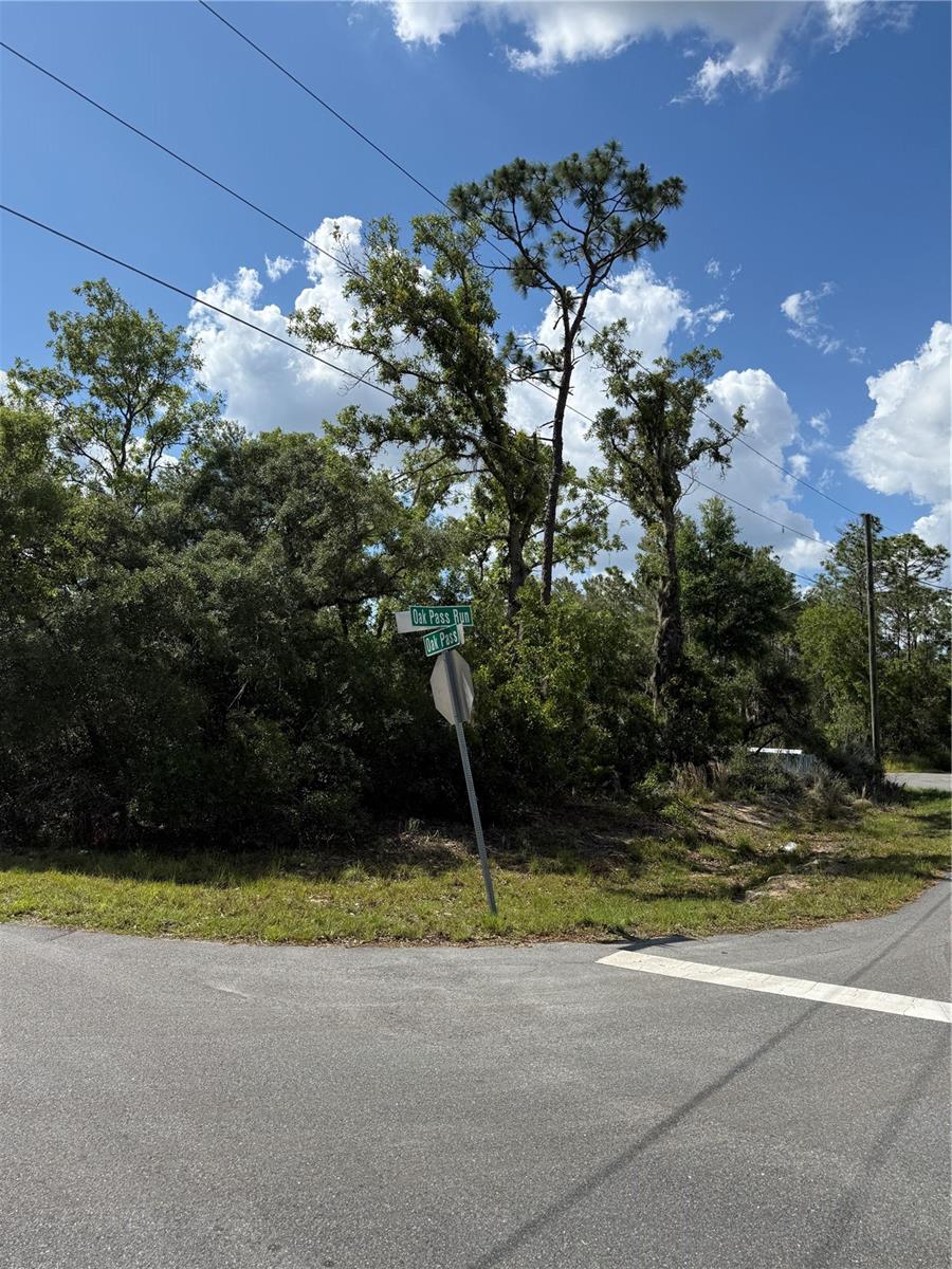 TBD OAK PASS RUN, OCALA, FL, 34472