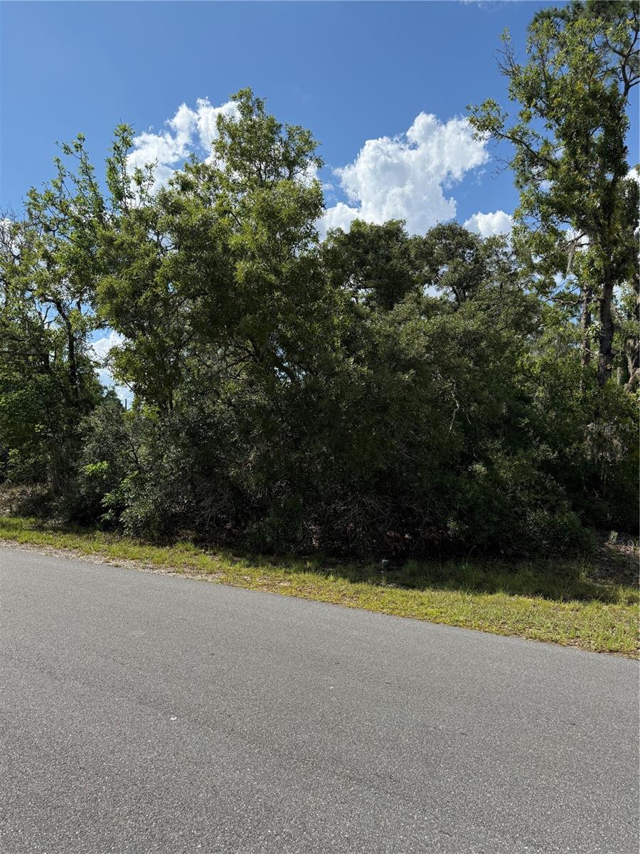 TBD OAK PASS RUN, OCALA, FL, 34472