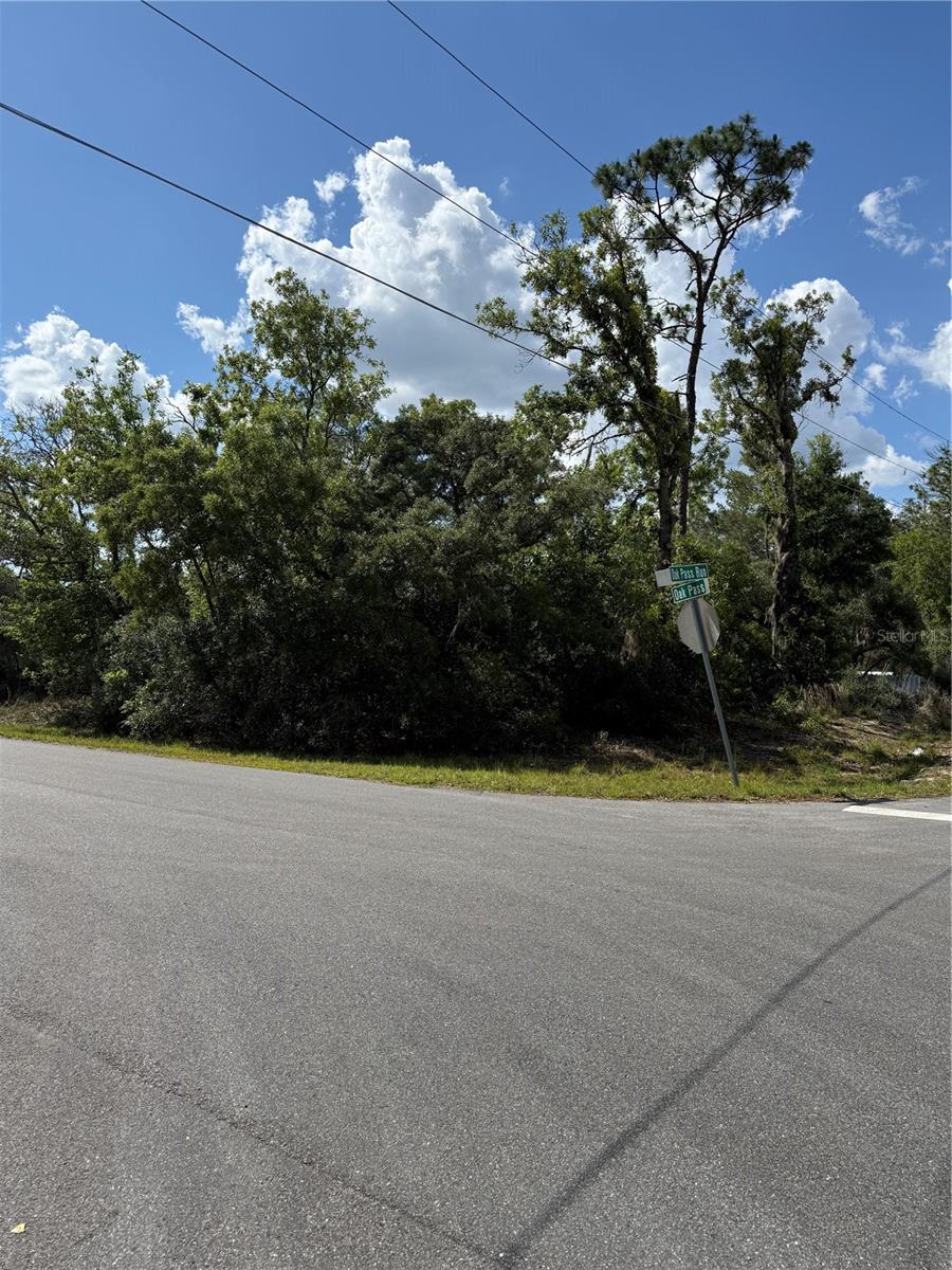 TBD OAK PASS RUN, OCALA, FL, 34472