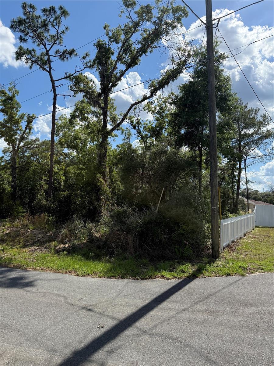 TBD OAK PASS RUN, OCALA, FL, 34472