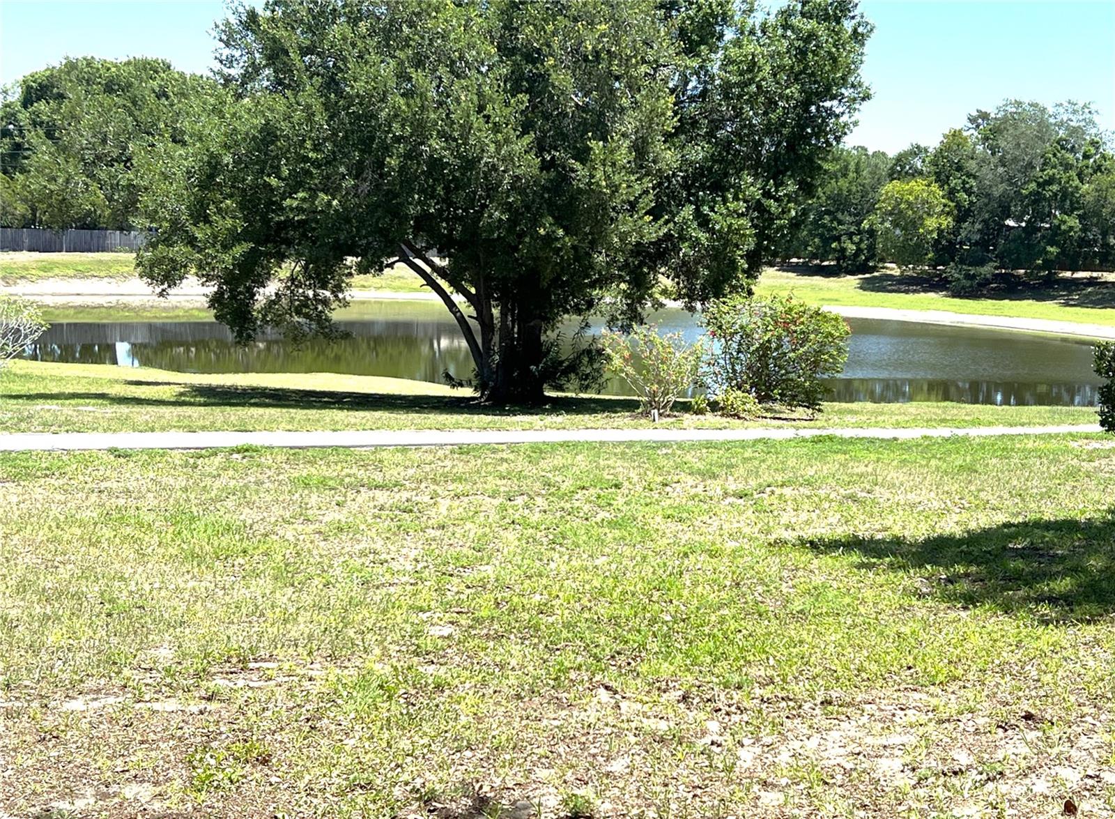 2655 PINE RIDGE WAY N #B1, PALM HARBOR, FL, 34684