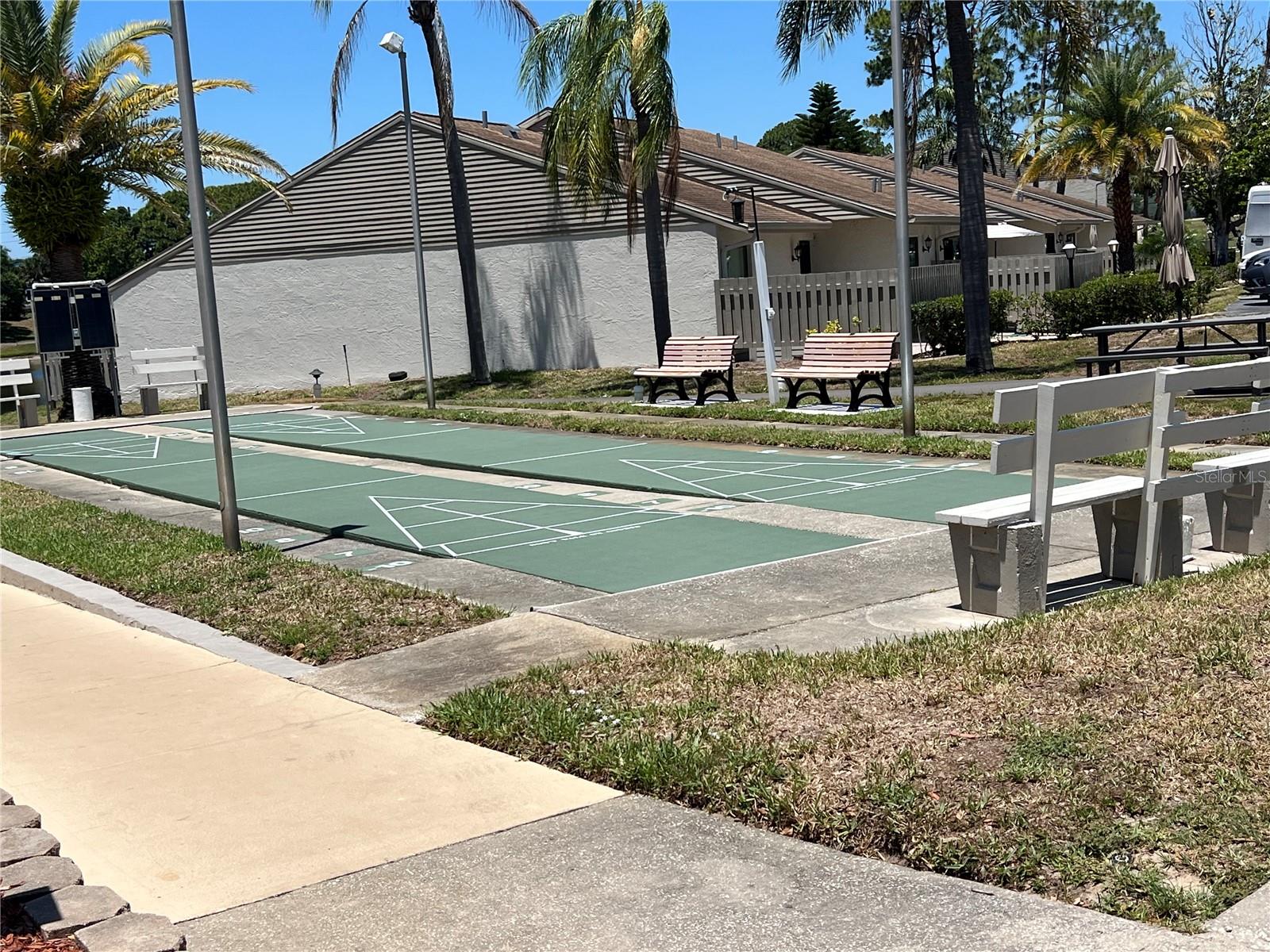 2655 PINE RIDGE WAY N #B1, PALM HARBOR, FL, 34684