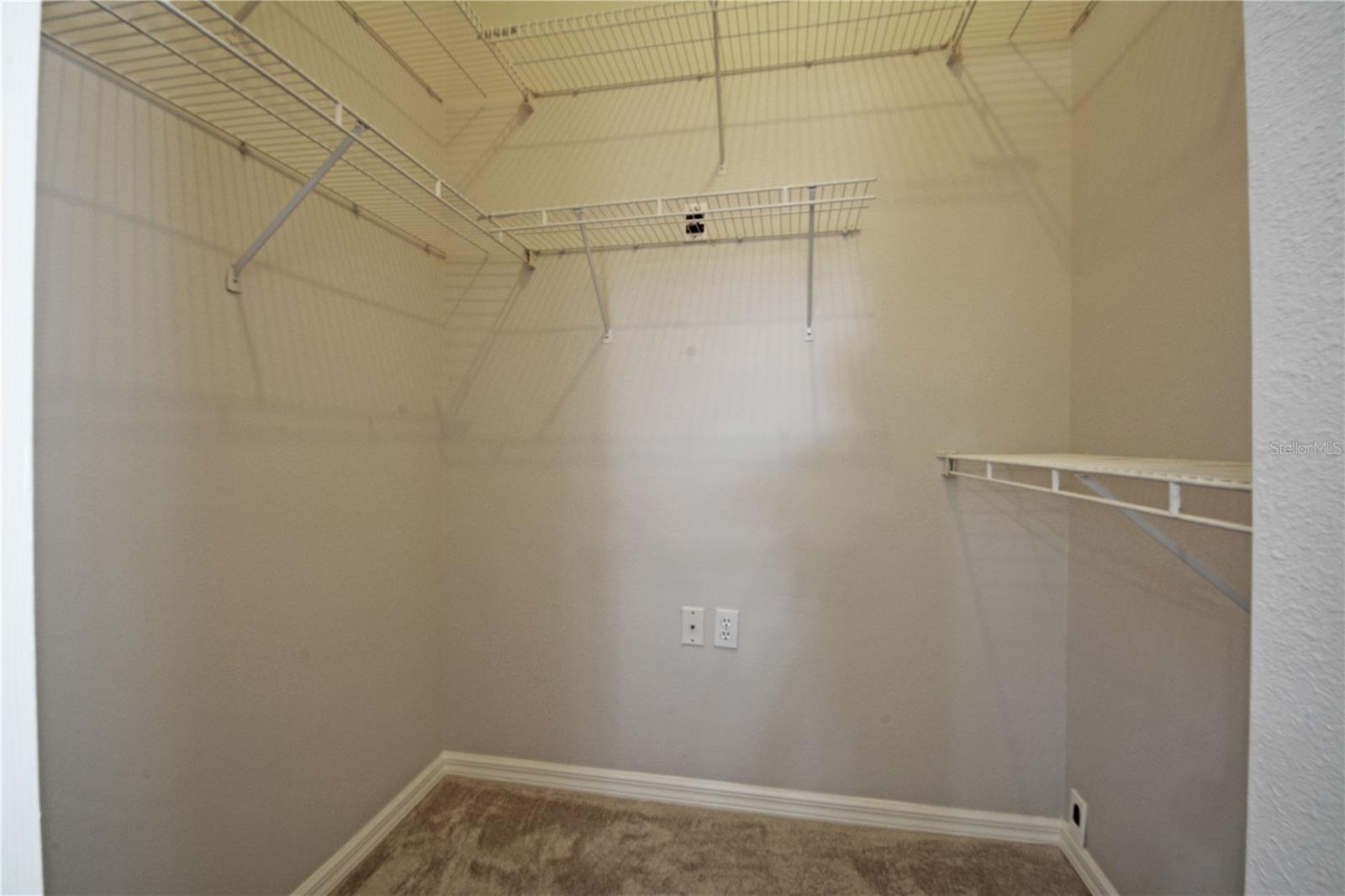 3293 MALLARD DR, SAFETY HARBOR, FL, 34695