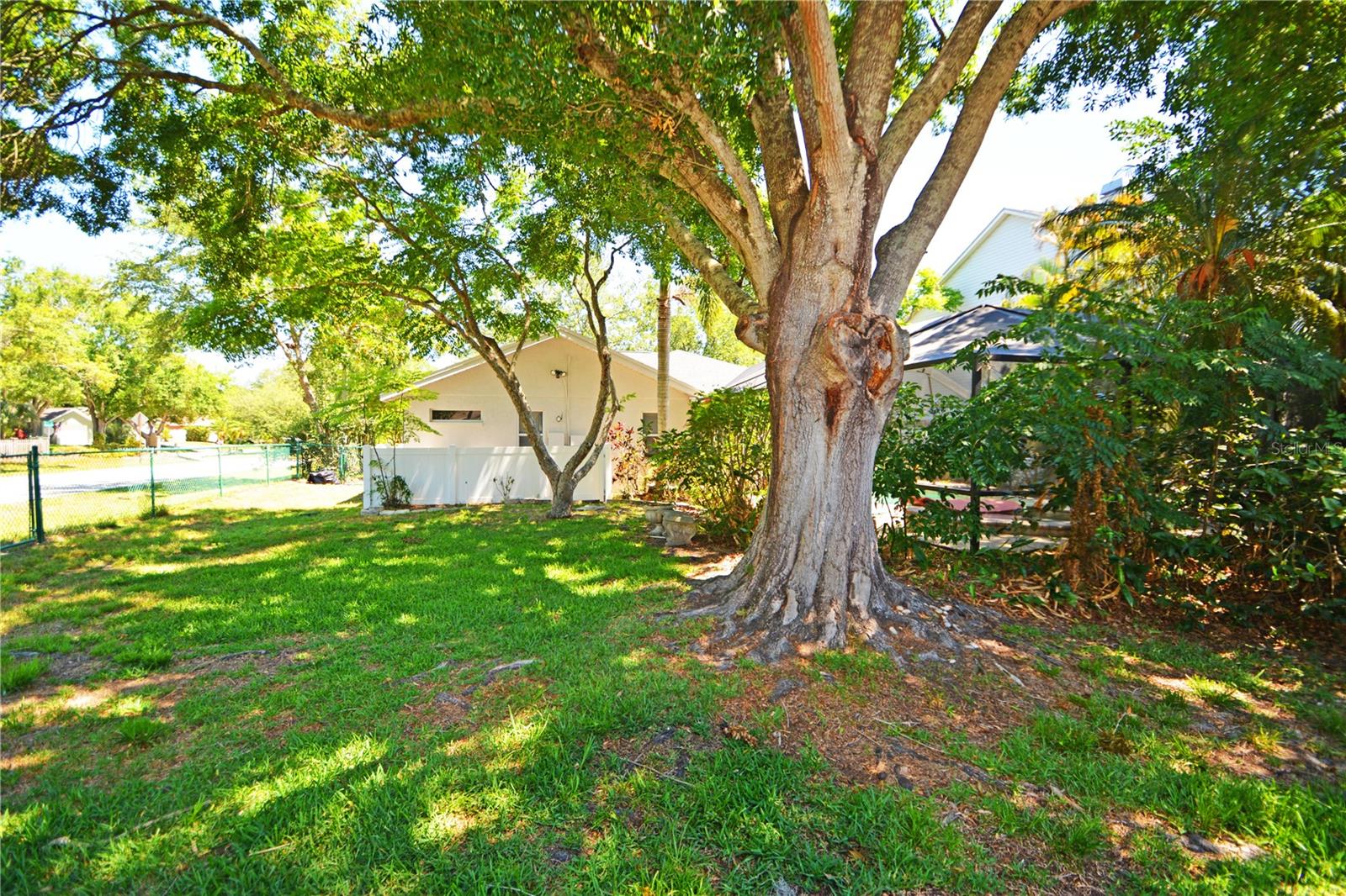 3293 MALLARD DR, SAFETY HARBOR, FL, 34695