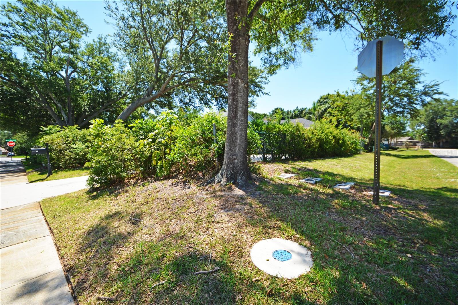 3293 MALLARD DR, SAFETY HARBOR, FL, 34695